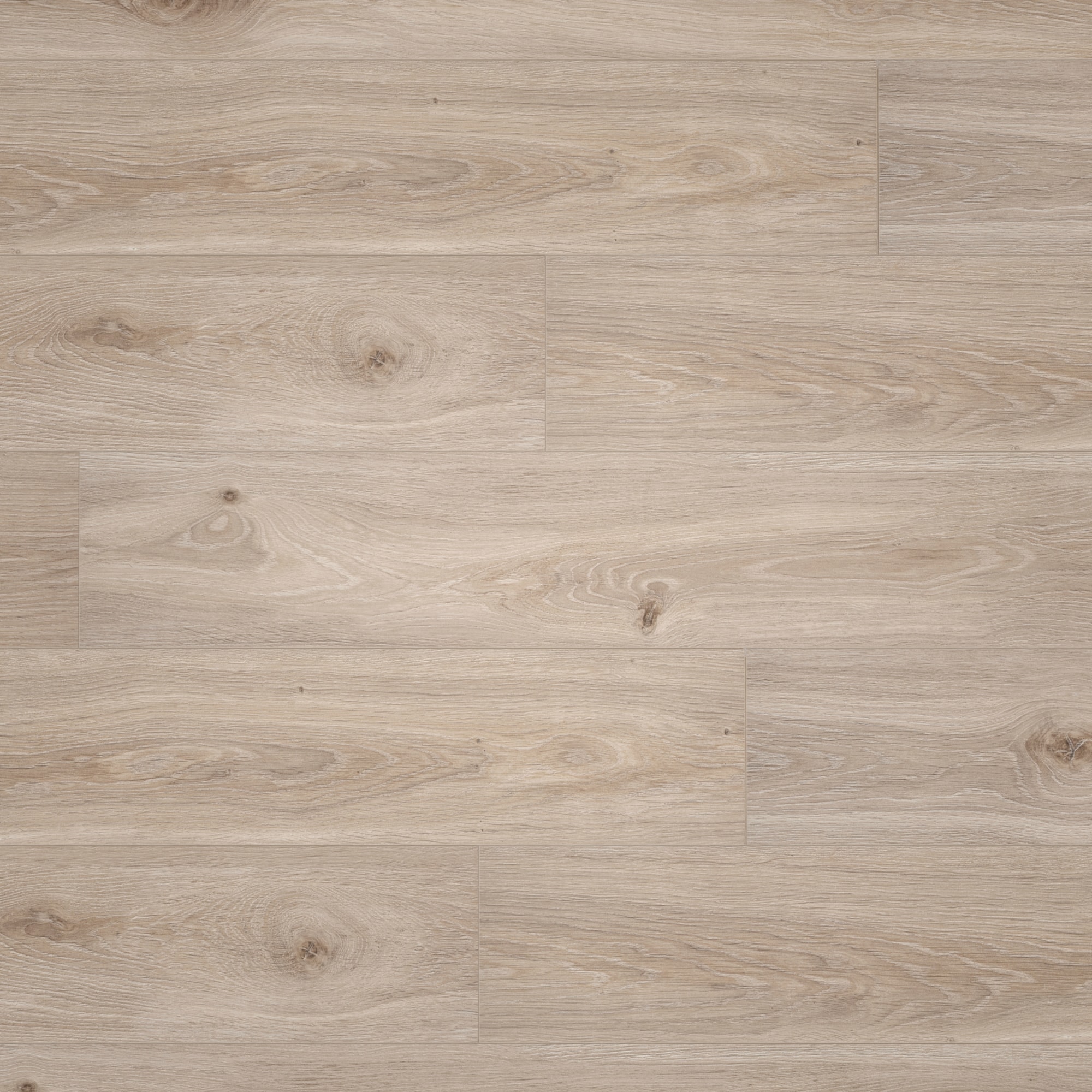 BerryAlloc Laminat Ocean 8 V4 Bloom Light Natural Wood Structure BerryAlloc Laminat Ocean 8 V4 Bloom Light Natural Wood Structure