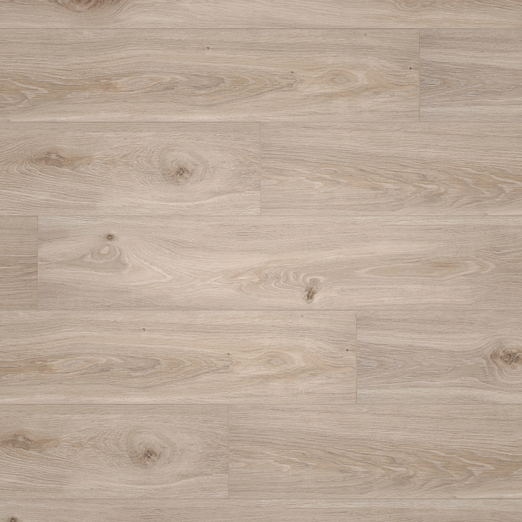 BerryAlloc Laminat Ocean 8 V4 Bloom Light Natural Wood Structure BerryAlloc Laminat Ocean 8 V4 Bloom Light Natural Wood Structure