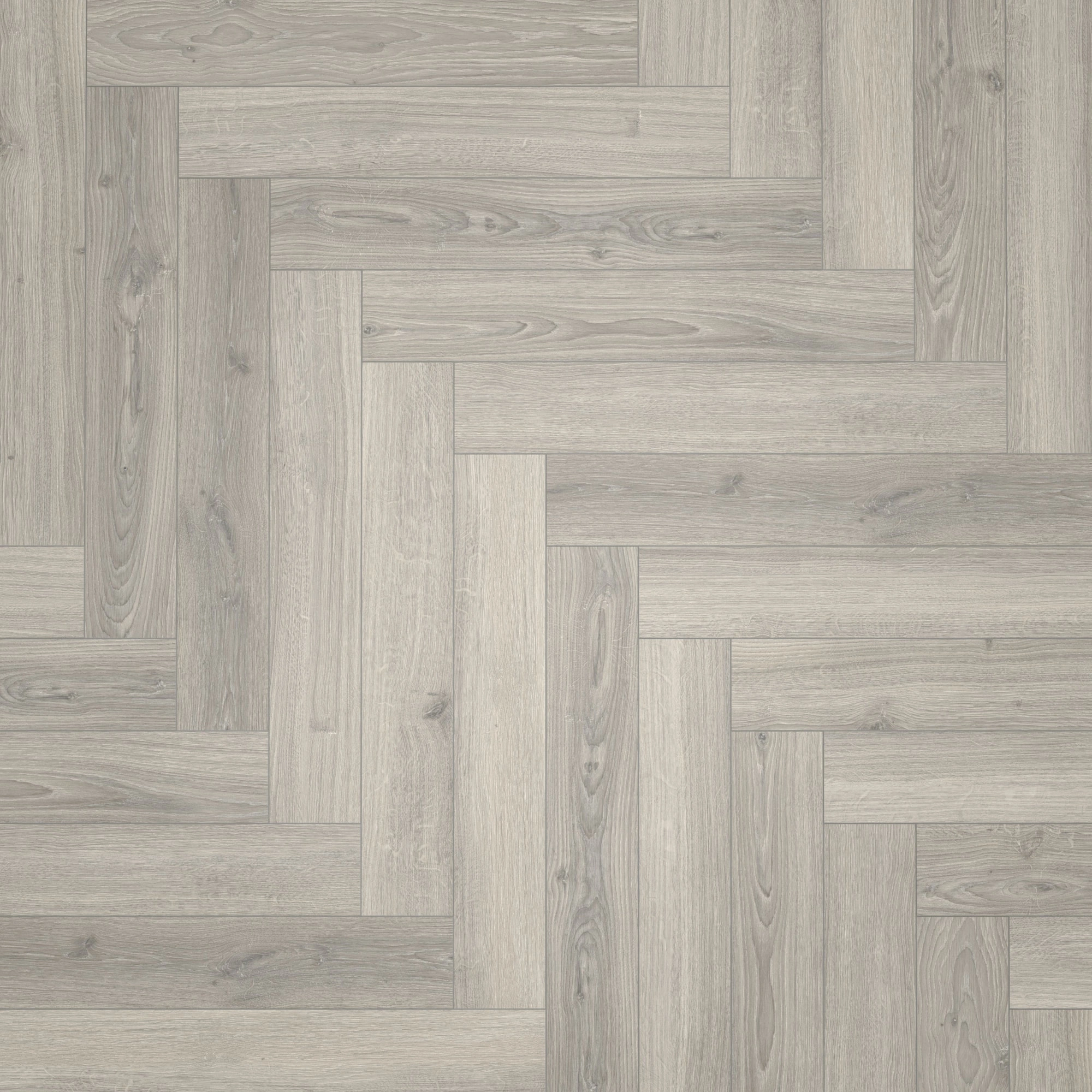 Draufsicht - Parador Laminat Trendtime 3 Eiche Studioline lichtgrau Draufsicht - Parador 1747865