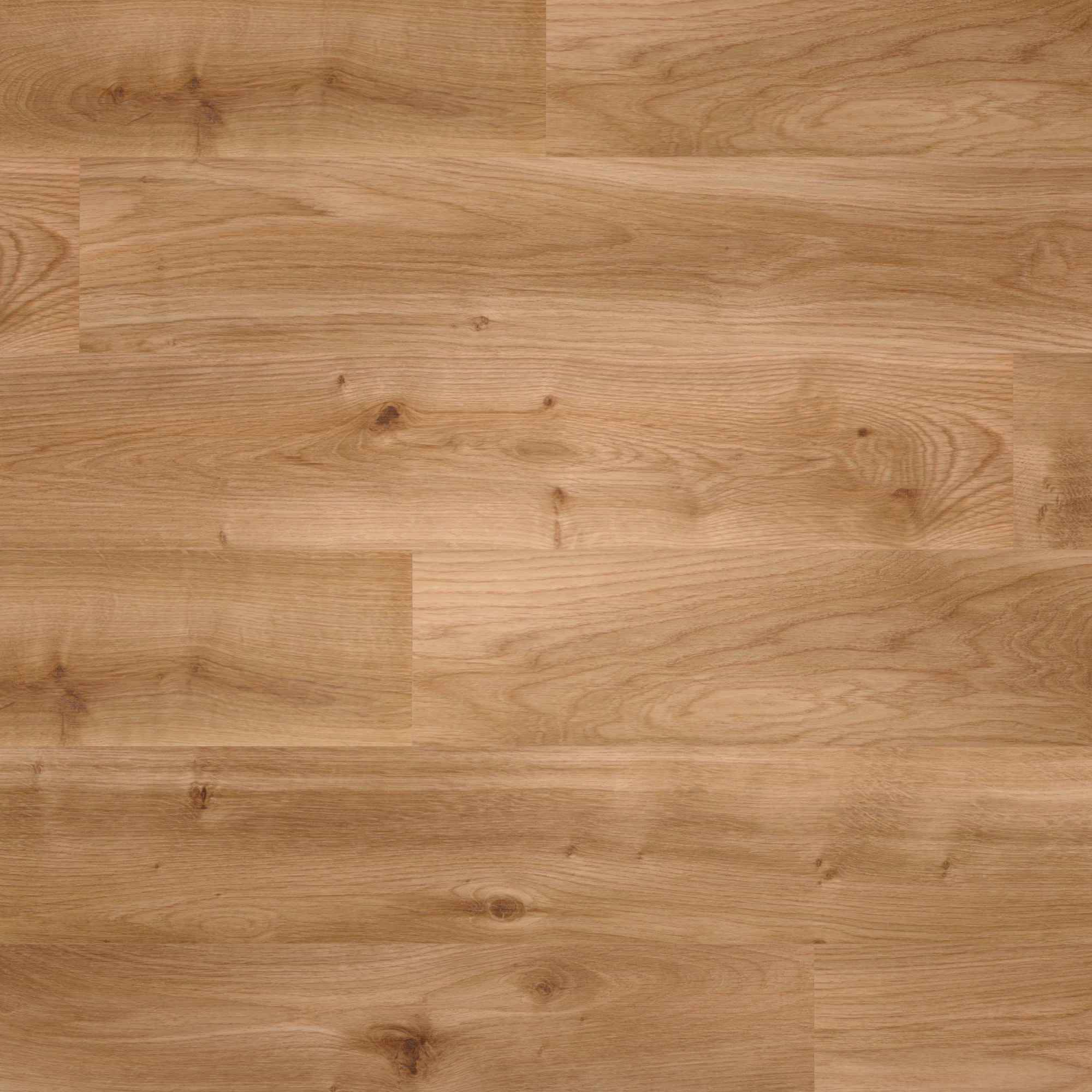 Draufsicht - wineo HDF Klick-Bioboden PURLINE wineo 1000 wood L Intensive Oak Caramel Draufsicht - wineo MLP300R