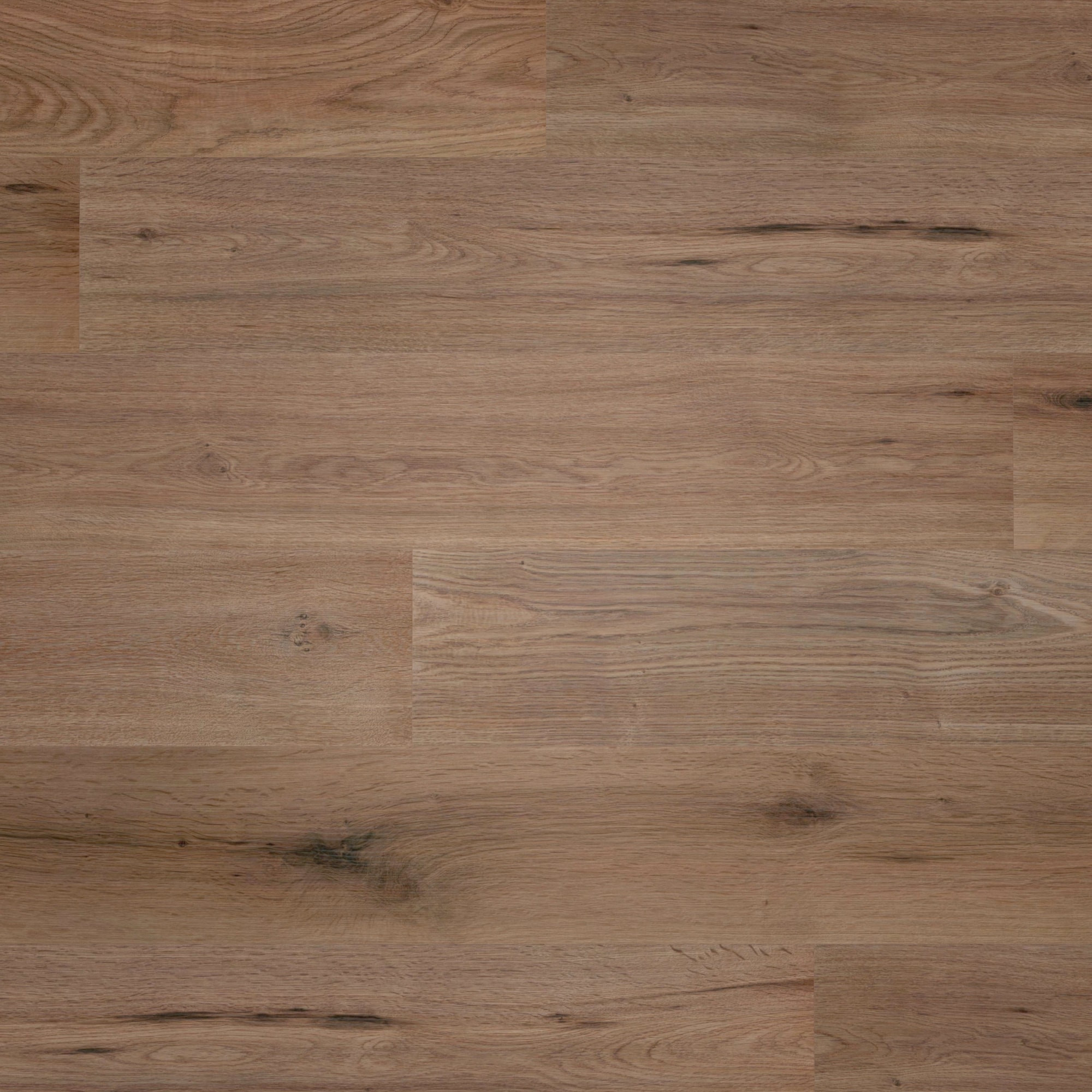 Draufsicht - wineo HDF Klick-Bioboden PURLINE wineo 1000 wood L Strong Oak Cappuccino Draufsicht - wineo MLP303R