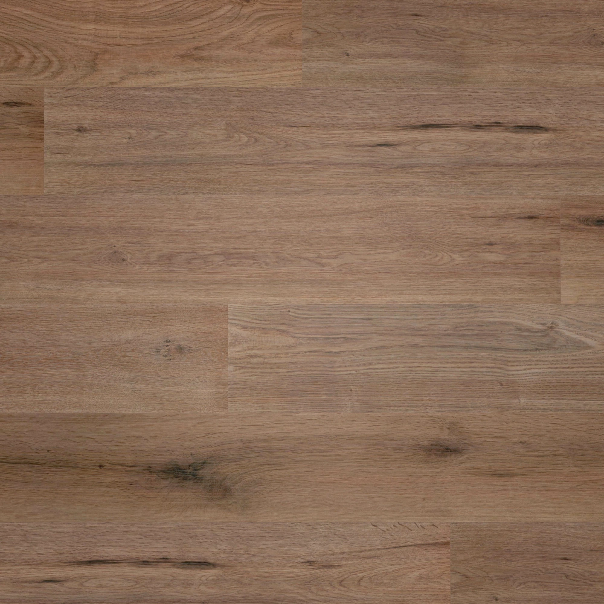 Draufsicht - wineo HDF Klick-Bioboden PURLINE wineo 1000 wood L Strong Oak Cappuccino Draufsicht - wineo MLP303R