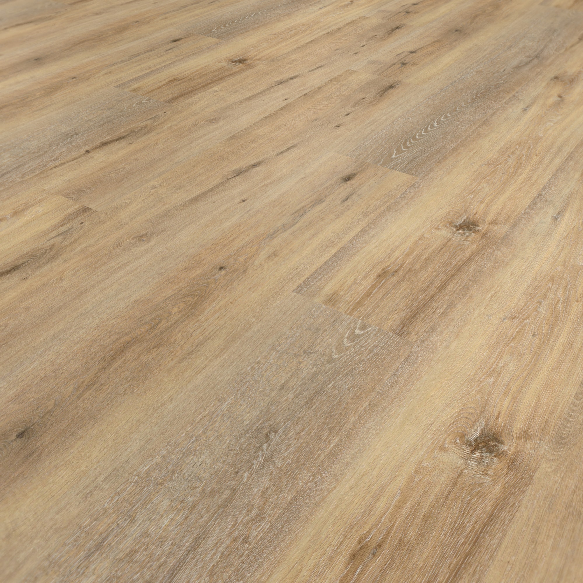 Perspektivische Ansicht - wineo Klebe-Vinyl wineo 400 wood XL Joy Oak Tender Perspektivische Ansicht - wineo DB126WXL