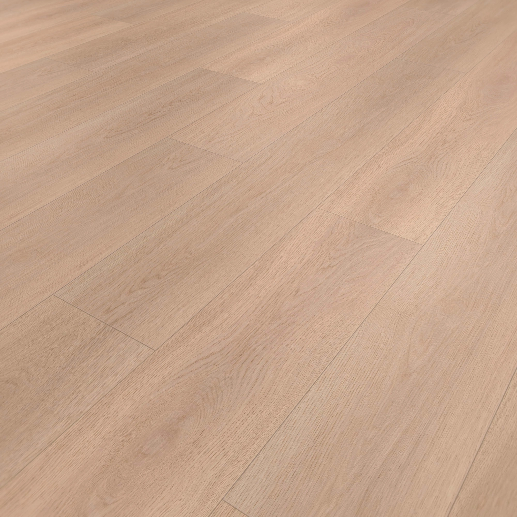 Perspektivische Ansicht - wineo Klebe-Bioboden PURLINE wineo 1000 wood XL Calm Oak Shell Perspektivische Ansicht - wineo PL306R