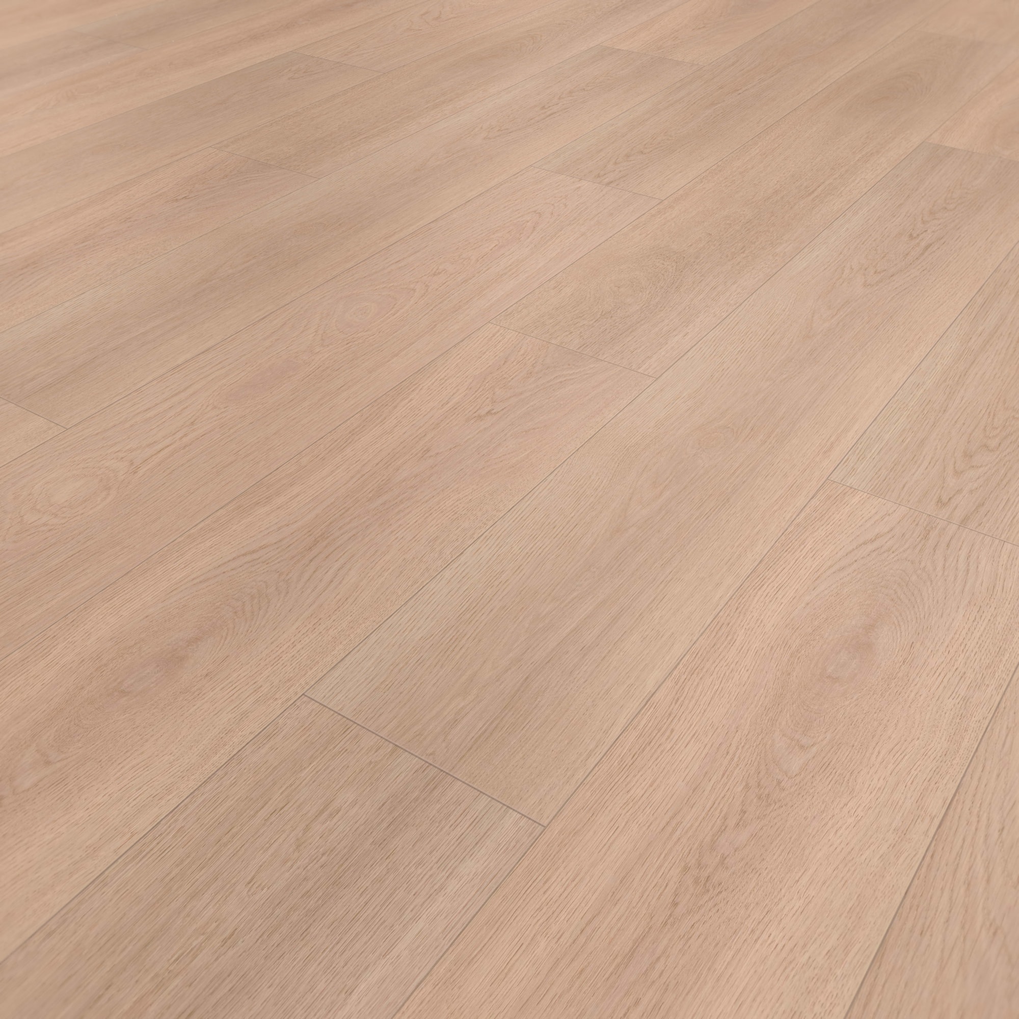 Perspektivische Ansicht - wineo HDF Klick-Bioboden PURLINE wineo 1000 wood XL Calm Oak Shell Perspektivische Ansicht - wineo MLP306R