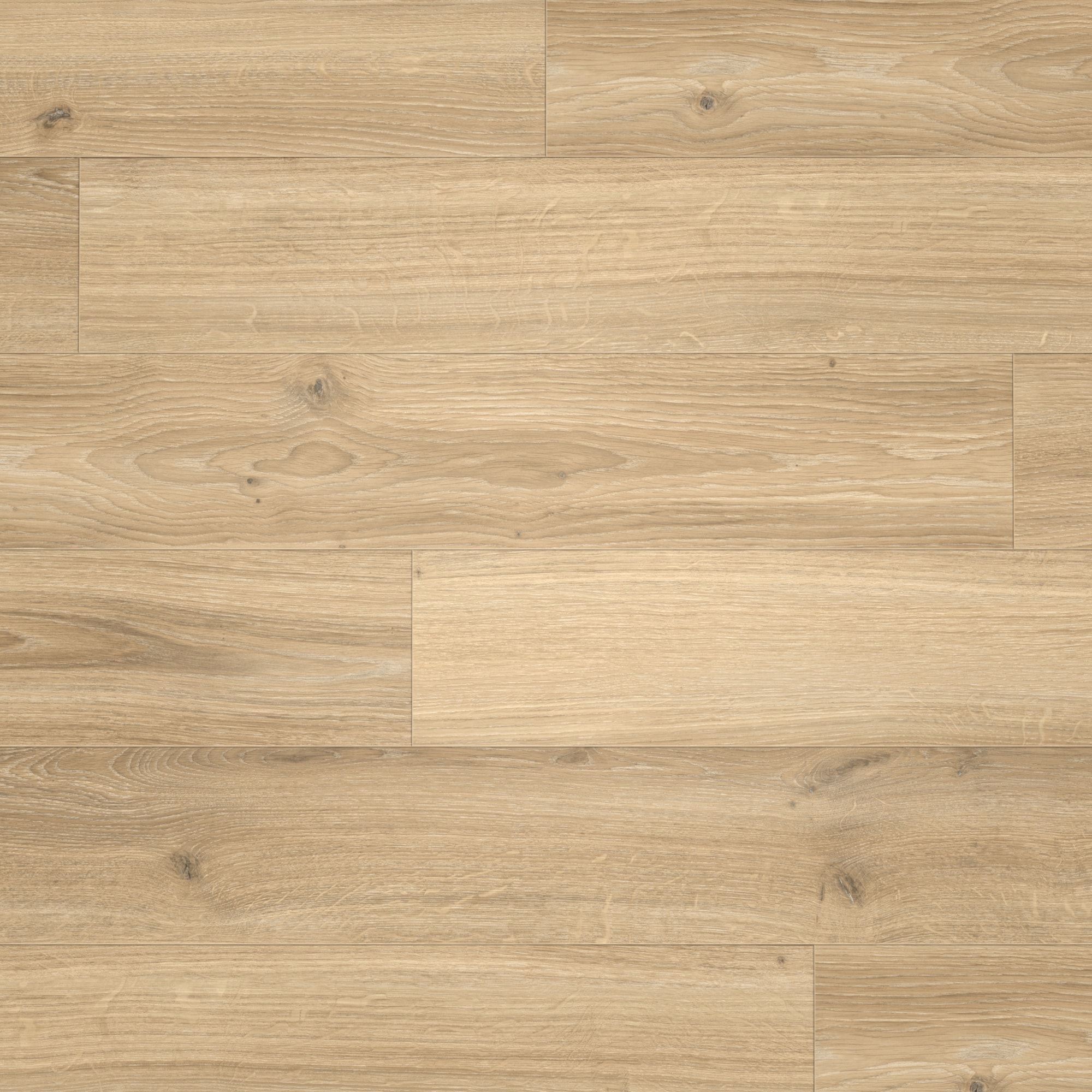 Parador Laminat Basic 400 Eiche Studioline beige Naturmattstruktur 4V