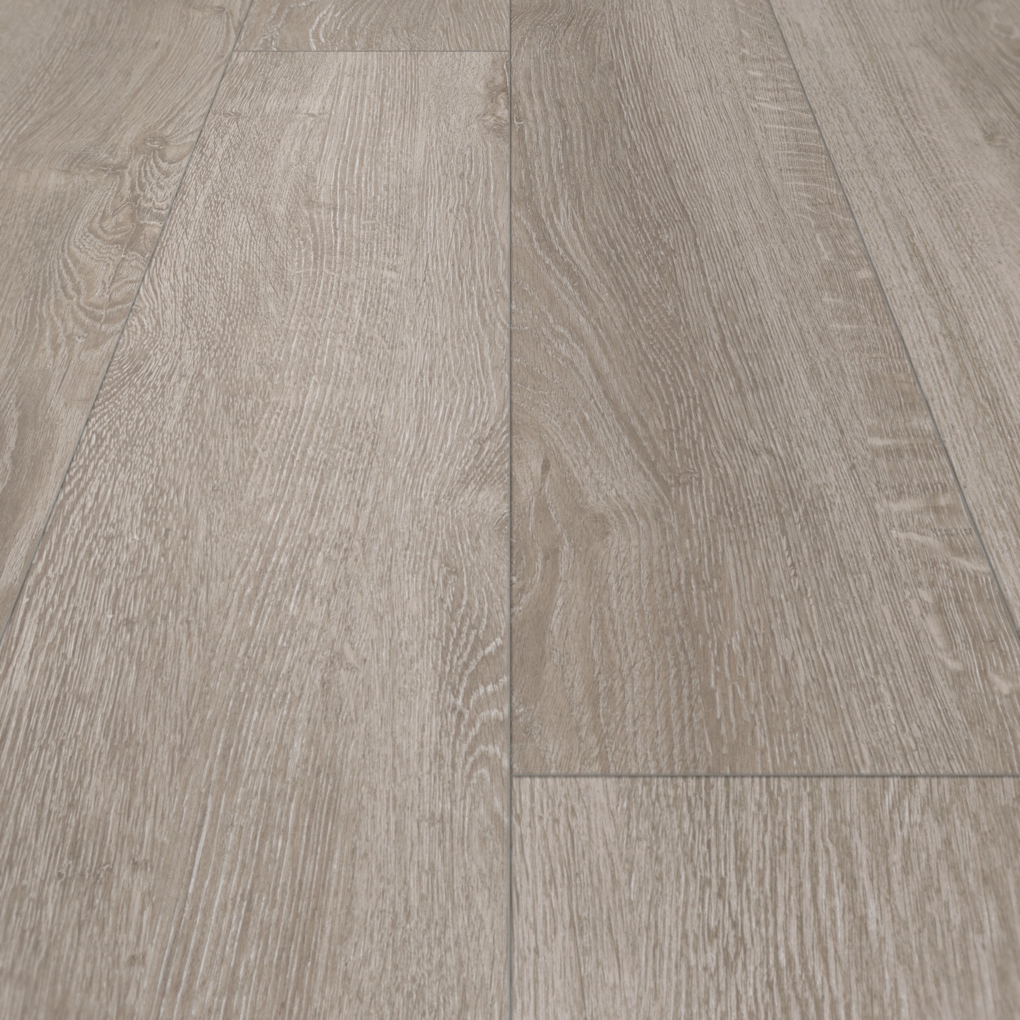 Parador Laminat Basic 400 Eiche Lichtgrau Seidenmatte Struktur 4V Parador Laminat Basic 400 Eiche Lichtgrau Seidenmatte Struktur 4V