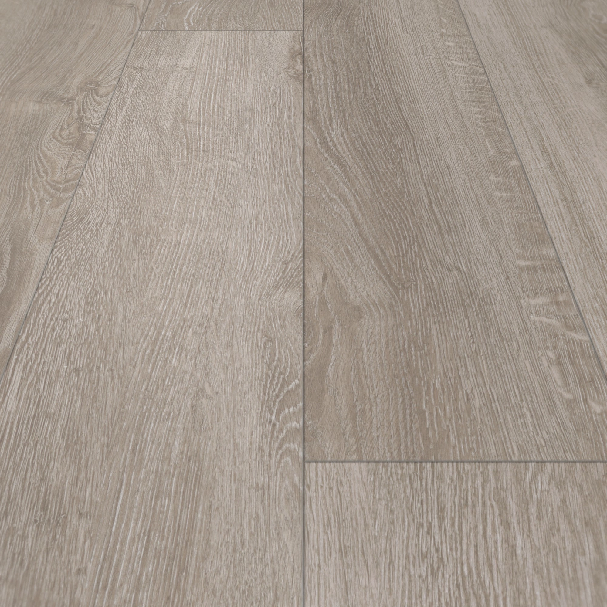 Parador Laminat Basic 400 Eiche Lichtgrau Seidenmatte Struktur 4V Parador Laminat Basic 400 Eiche Lichtgrau Seidenmatte Struktur 4V