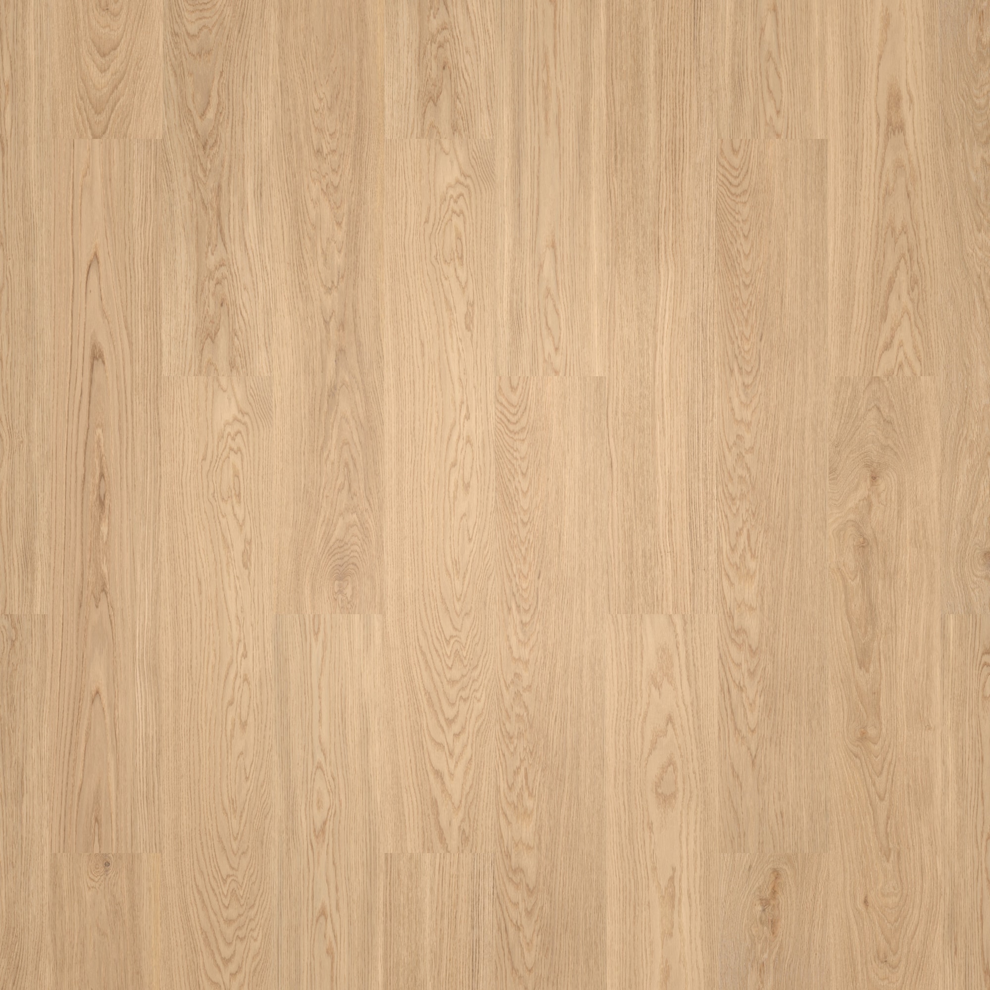 Wicanders HDF Klick-Designboden wood Go Pure Oak Holzstruktur Wicanders HDF Klick-Designboden wood Go Pure Oak Holzstruktur