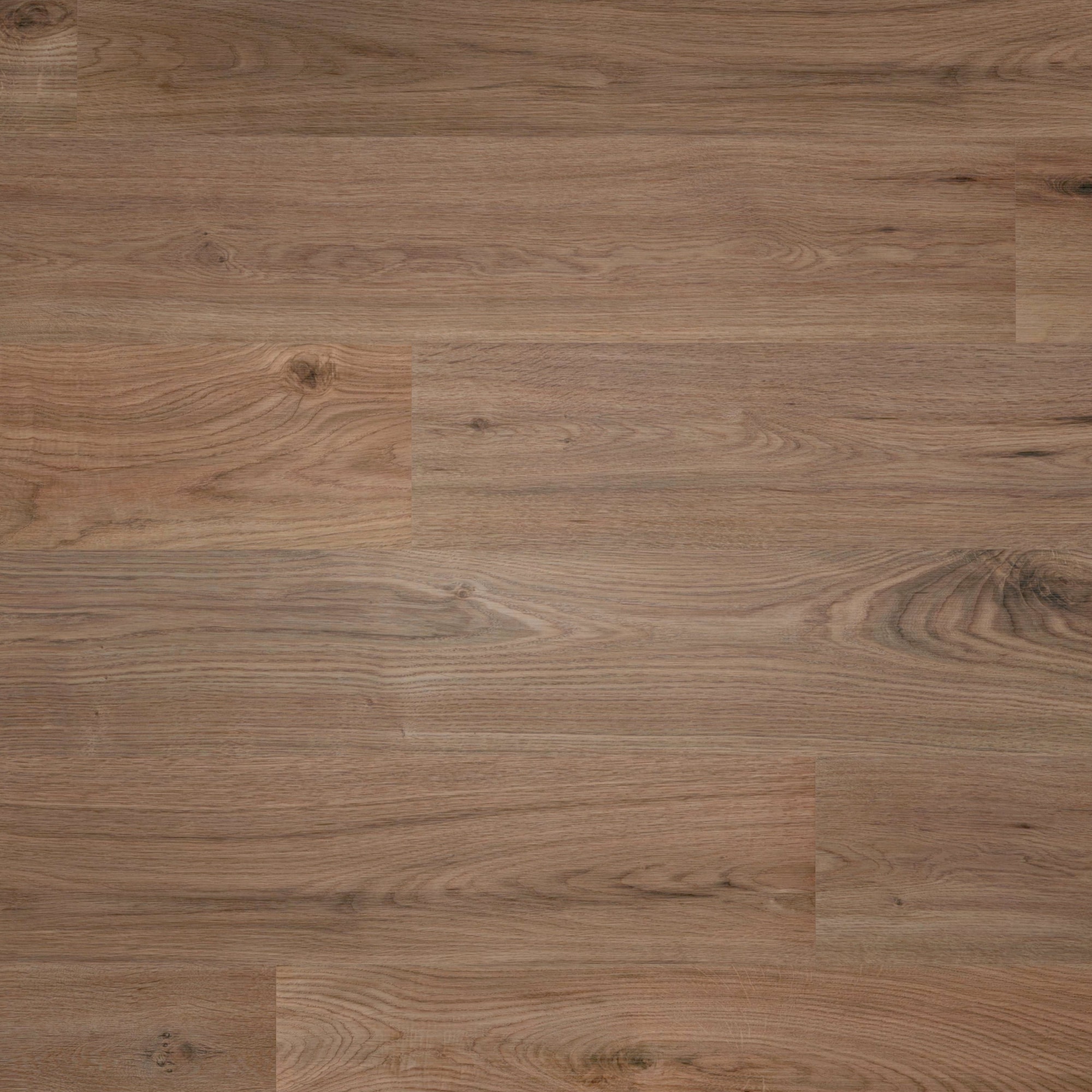 Draufsicht - wineo Klick-Bioboden PURLINE wineo 1000 wood L Strong Oak Cappuccino Draufsicht - wineo PLC303R