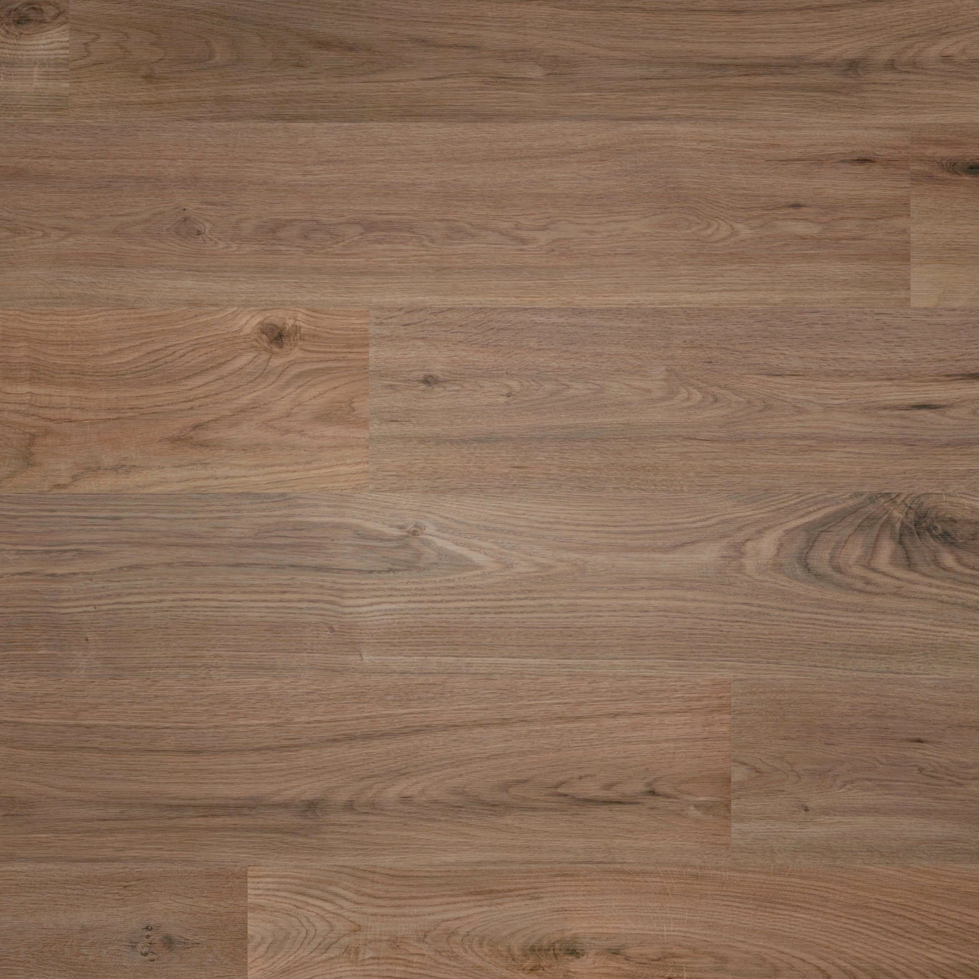 Draufsicht - wineo Klick-Bioboden PURLINE wineo 1000 wood L Strong Oak Cappuccino Draufsicht - wineo PLC303R