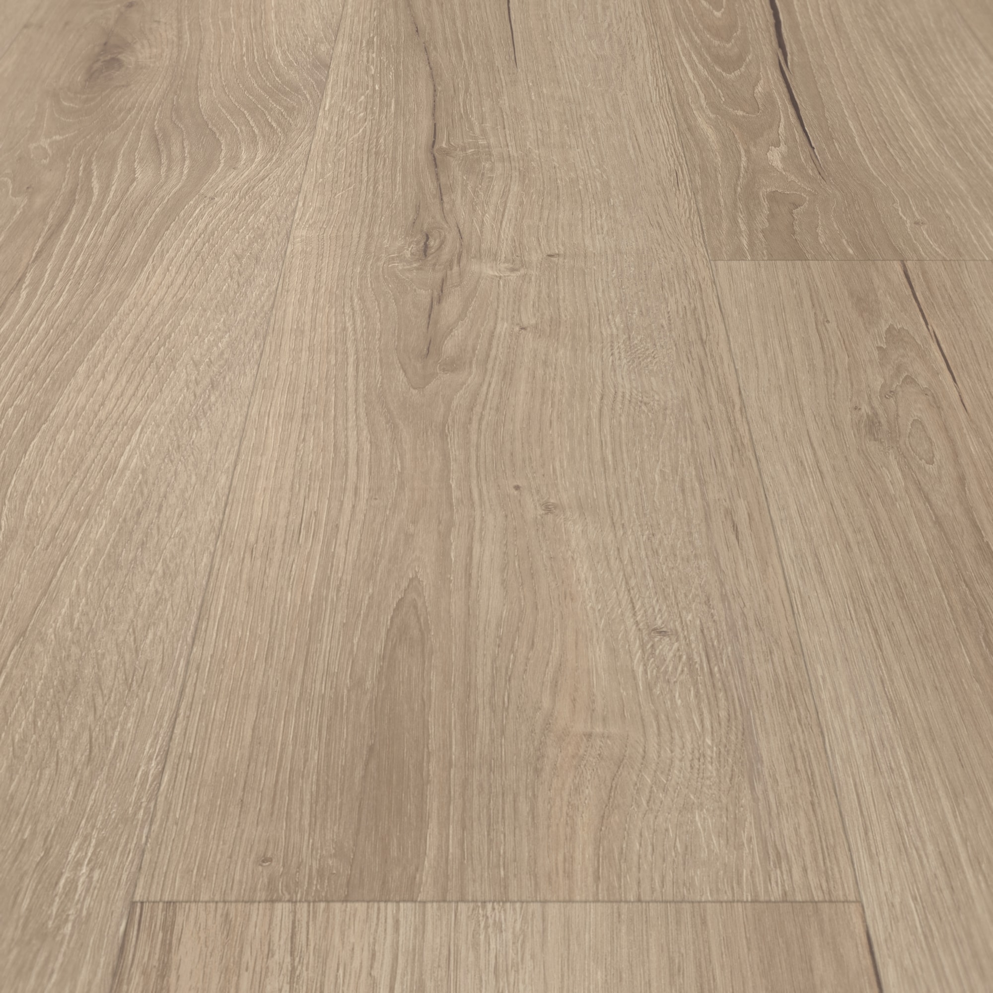 Detail Ansicht - Parador Klebe-Vinyl Classic 2025 Eiche Cambridge taupe Detail Ansicht - Parador 1748875