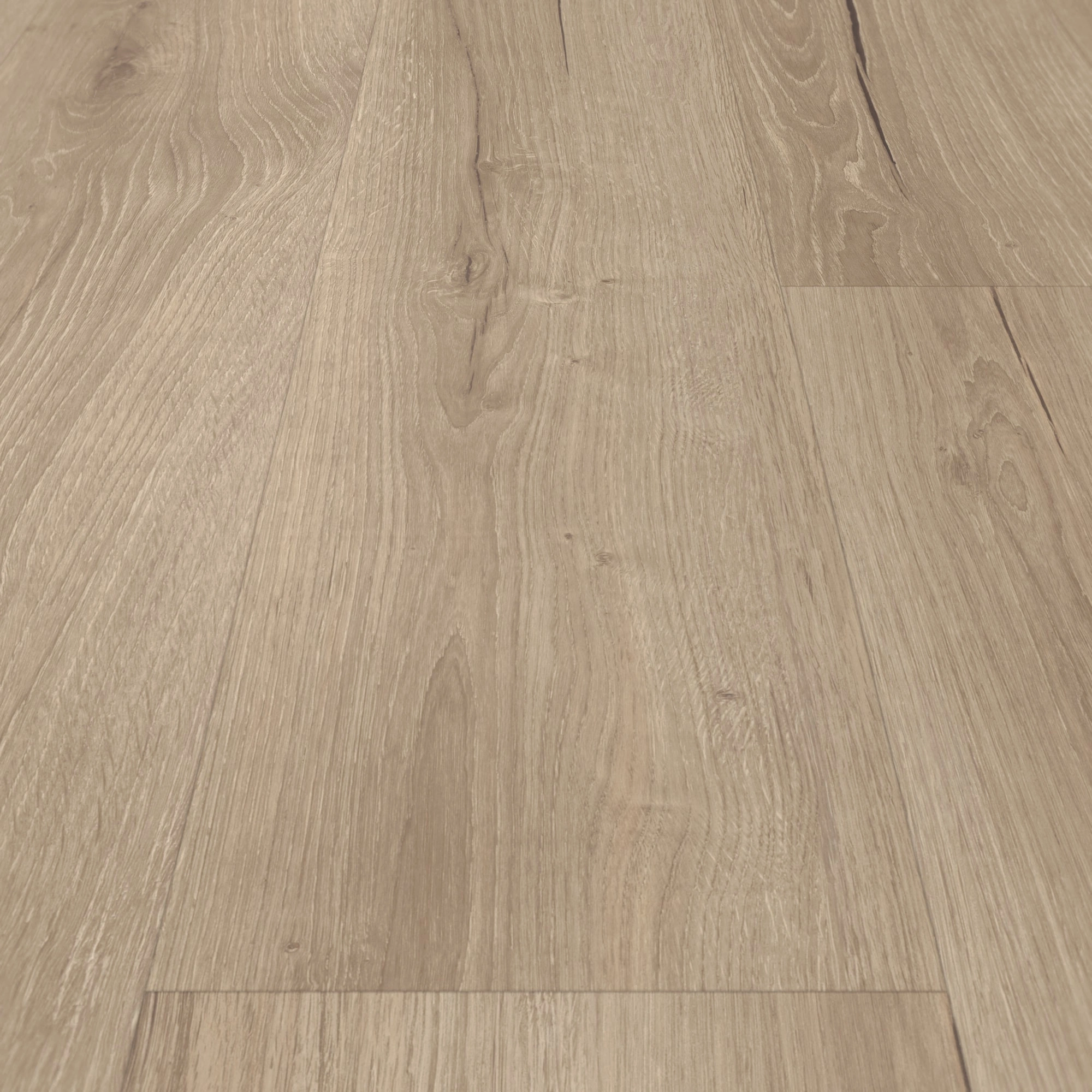 Detail Ansicht - Parador Klebe-Vinyl Classic 2025 Eiche Cambridge taupe Detail Ansicht - Parador 1748875