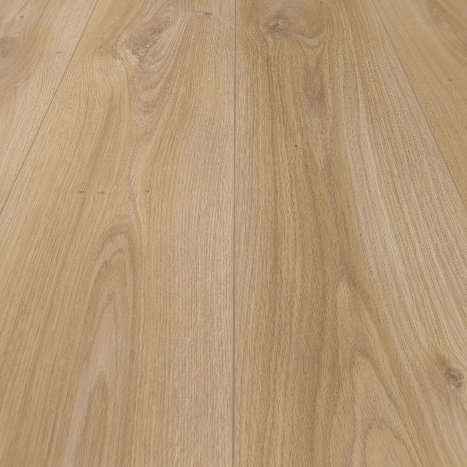 Detail Ansicht - MEISTER 400055-2052220-06841