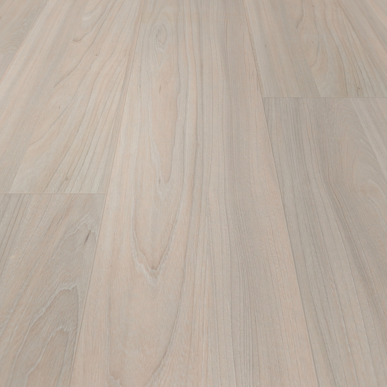 BerryAlloc Laminat Ocean 8 V4 Elm Light Wood Structure