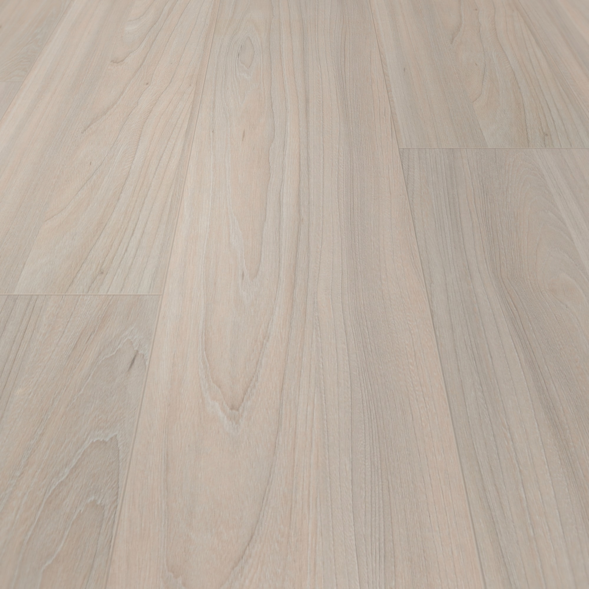 BerryAlloc Laminat Ocean 8 V4 Elm Light Wood Structure BerryAlloc Laminat Ocean 8 V4 Elm Light Wood Structure