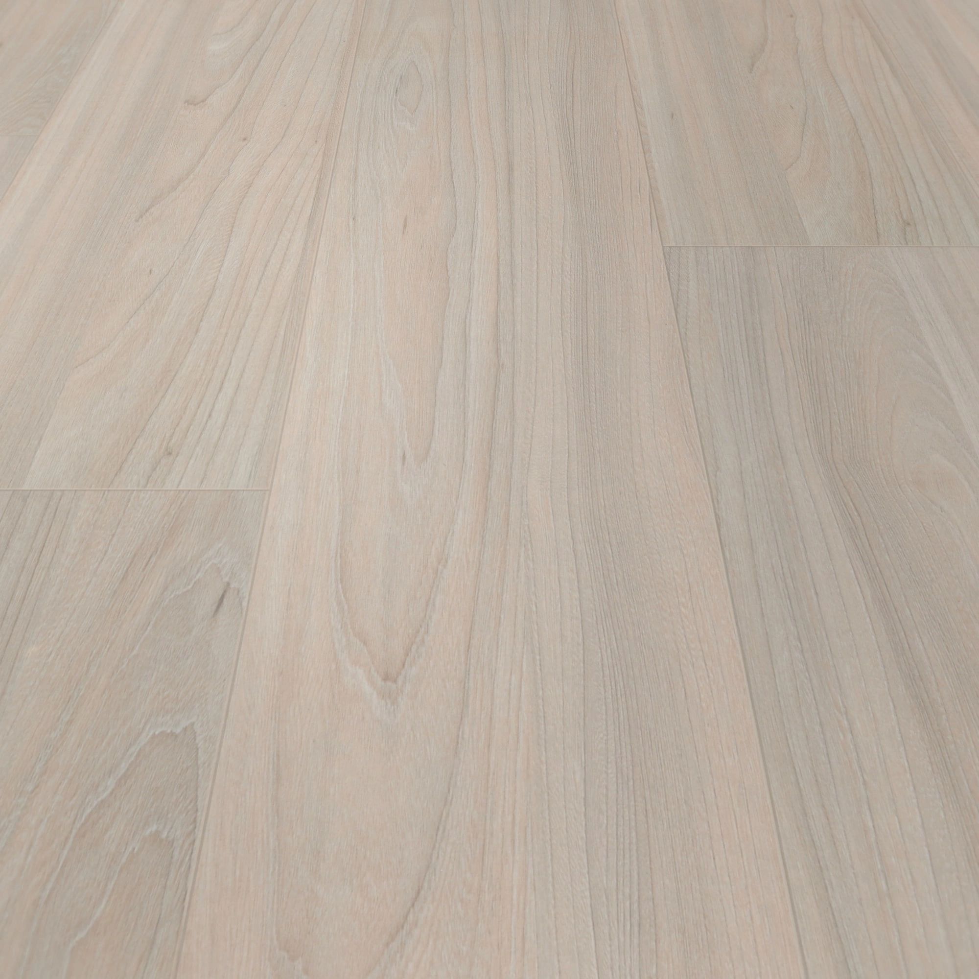 BerryAlloc Laminat Ocean 8 V4 Elm Light Wood Structure BerryAlloc Laminat Ocean 8 V4 Elm Light Wood Structure