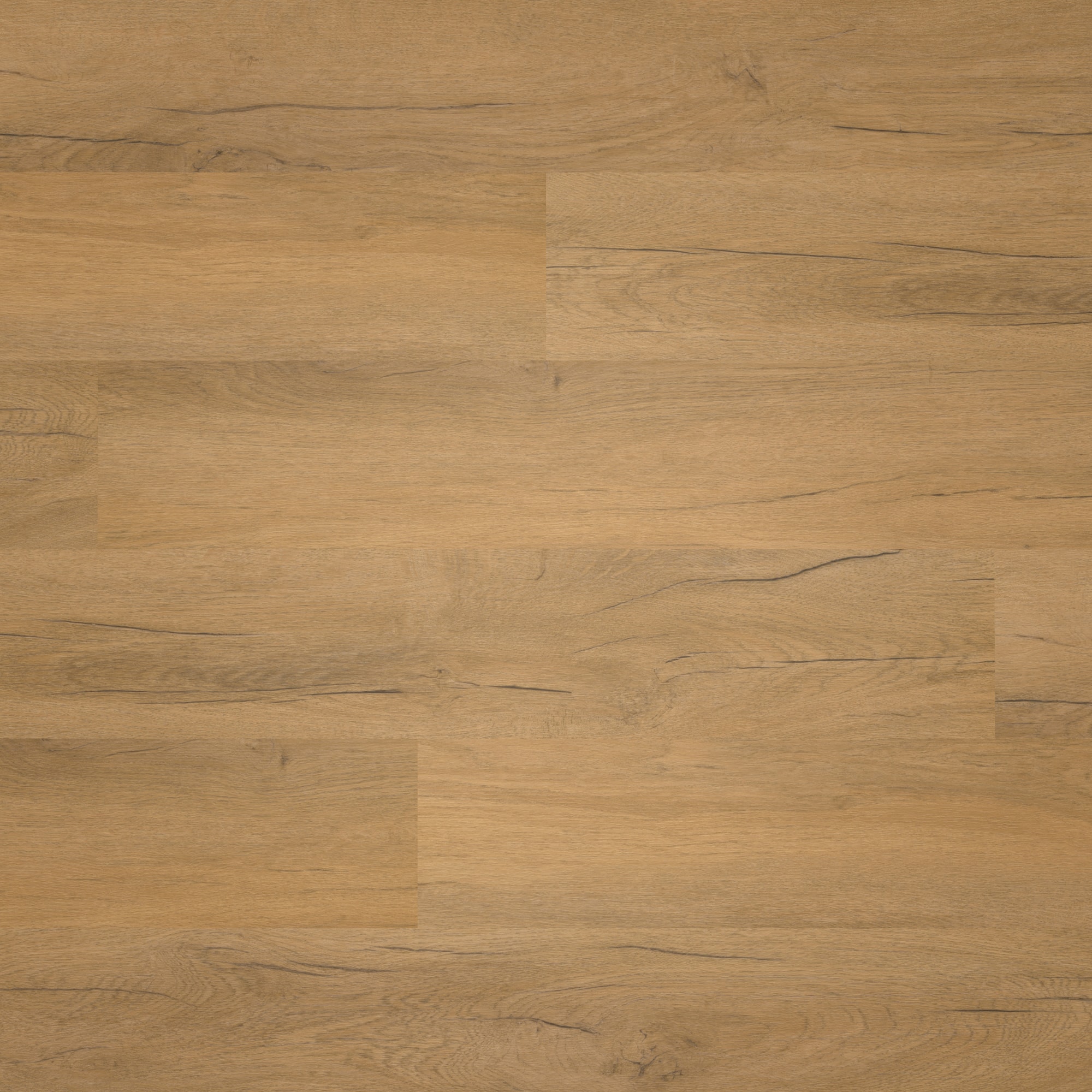 nexflor Rigid Klick-Vinyl Apollo Click Collection Delium Oak Holzstruktur Landhausdiele nexflor Rigid Klick-Vinyl Apollo Click Collection Delium Oak Holzstruktur Landhausdiele