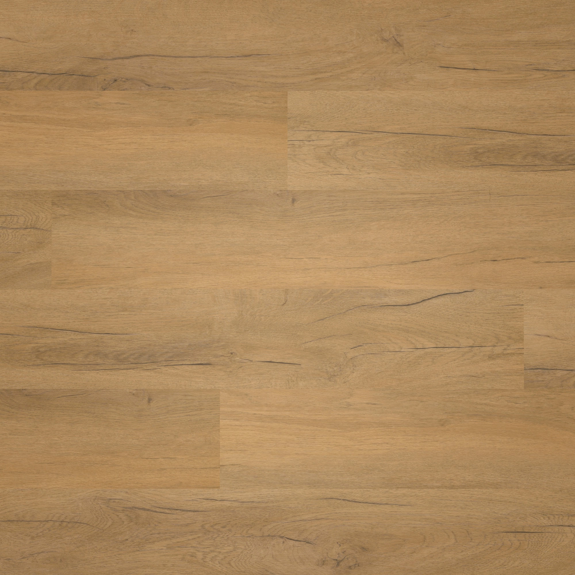nexflor Rigid Klick-Vinyl Apollo Click Collection Delium Oak Holzstruktur Landhausdiele nexflor Rigid Klick-Vinyl Apollo Click Collection Delium Oak Holzstruktur Landhausdiele