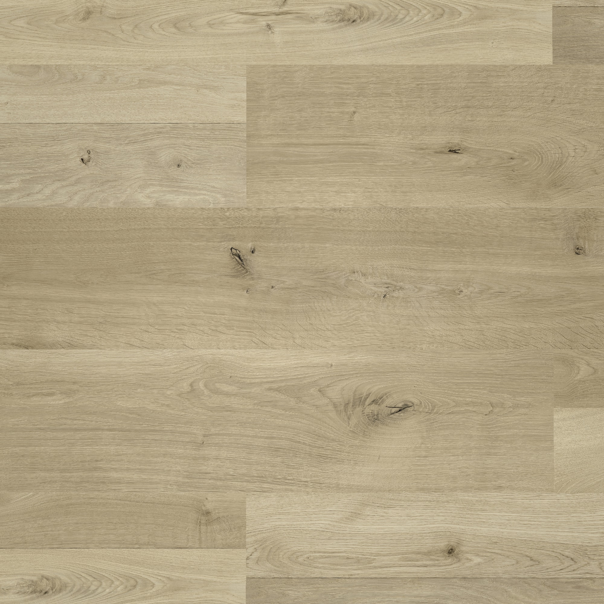 Draufsicht - MEISTER Laminat LC 55 S Natural Oak Draufsicht - MEISTER 600013-1288198-06675