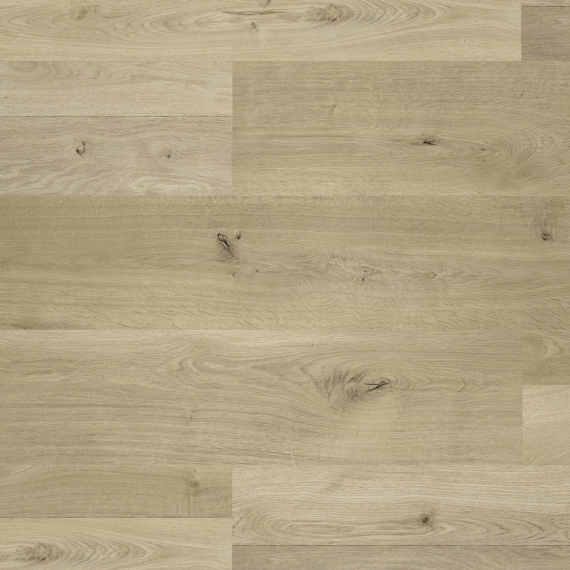 Draufsicht - MEISTER Laminat LC 55 S Natural Oak Draufsicht - MEISTER 600013-1288198-06675