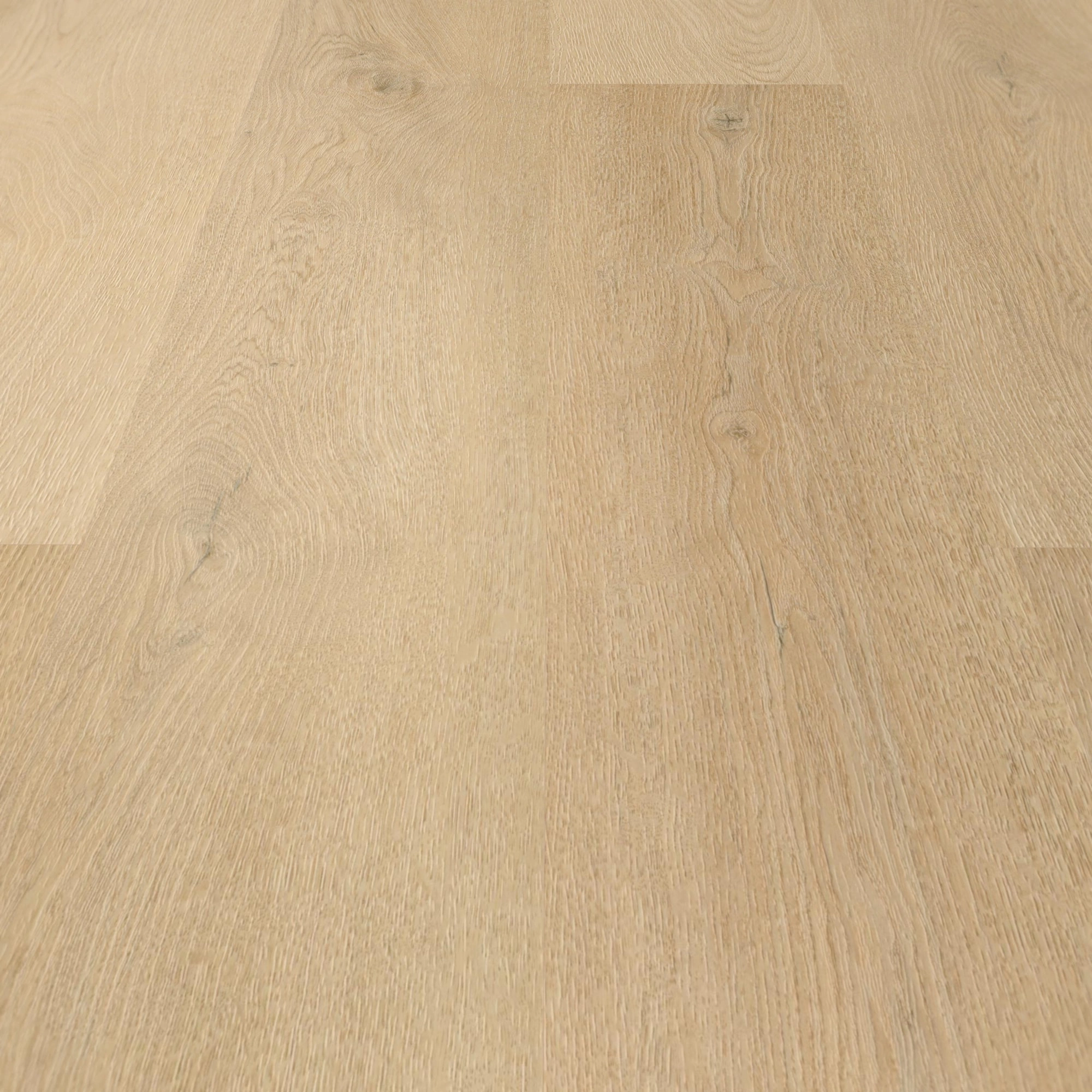 Detail Ansicht - wineo Rigid Klick-Vinyl wineo 400 wood L Plain Oak Beige Detail Ansicht - wineo RLC281WL