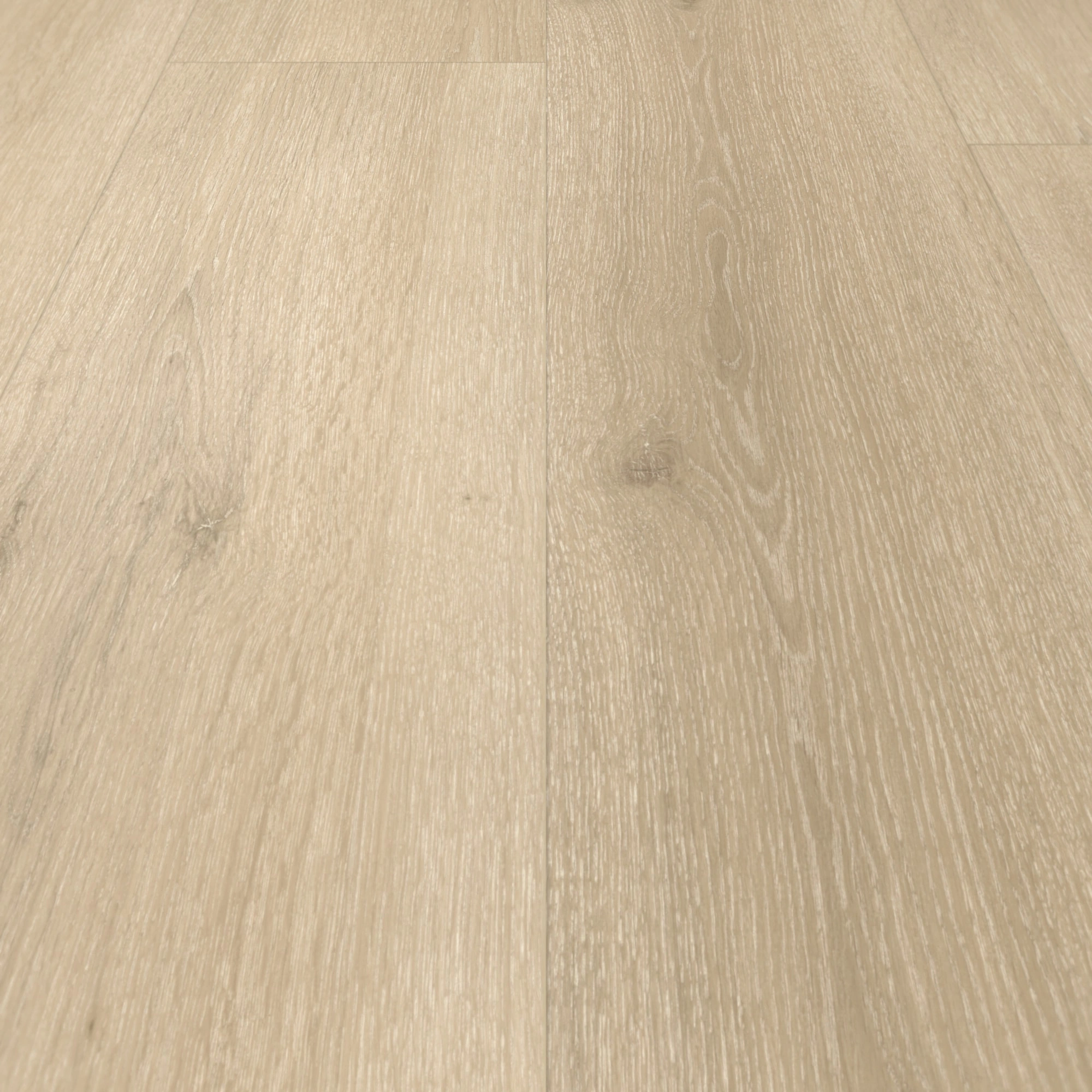 Parador HDF Klick-Designboden Modular ONE Eiche Urban hell Holzstruktur Schlossdiele Parador HDF Klick-Designboden Modular ONE Eiche Urban hell Holzstruktur Schlossdiele
