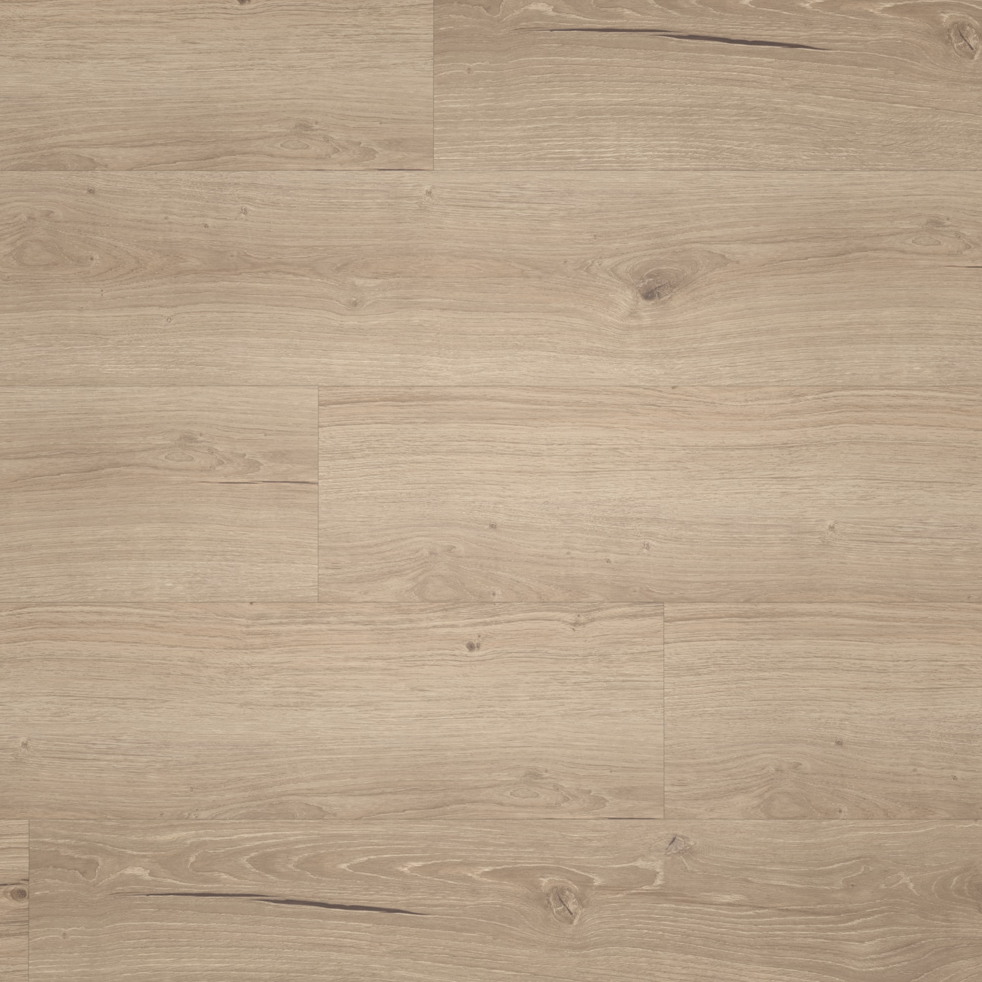 Draufsicht - Parador Klebe-Vinyl Classic 2025 Eiche Cambridge taupe Draufsicht - Parador 1748875