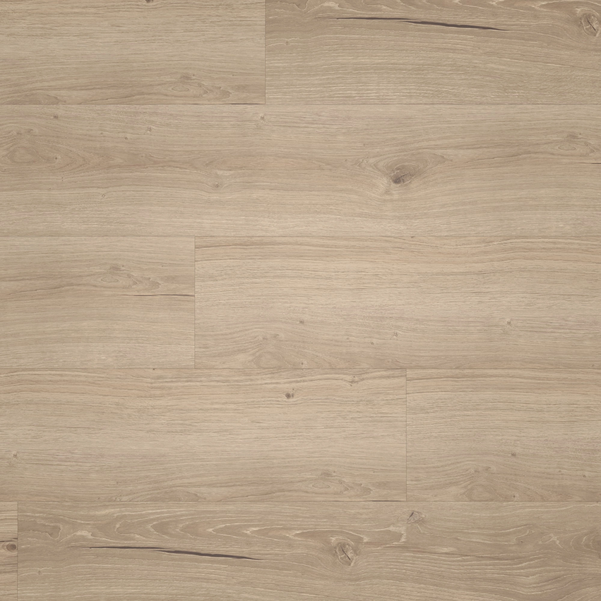 Draufsicht - Parador Klebe-Vinyl Classic 2025 Eiche Cambridge taupe Draufsicht - Parador 1748875