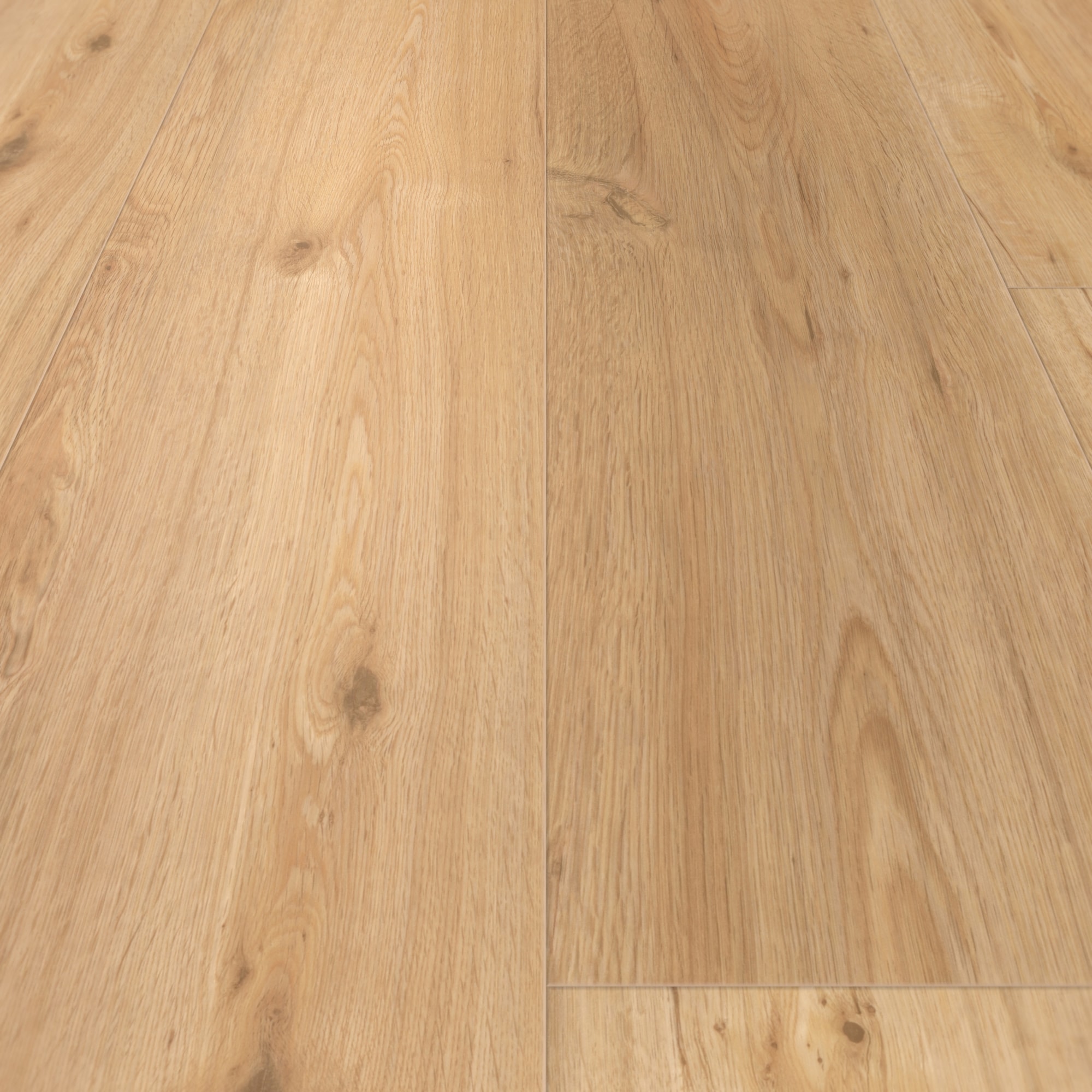 Detail Ansicht - Parador Rigid Klick-Vinyl Classic 2070 Eiche natur Detail Ansicht - Parador 1744633