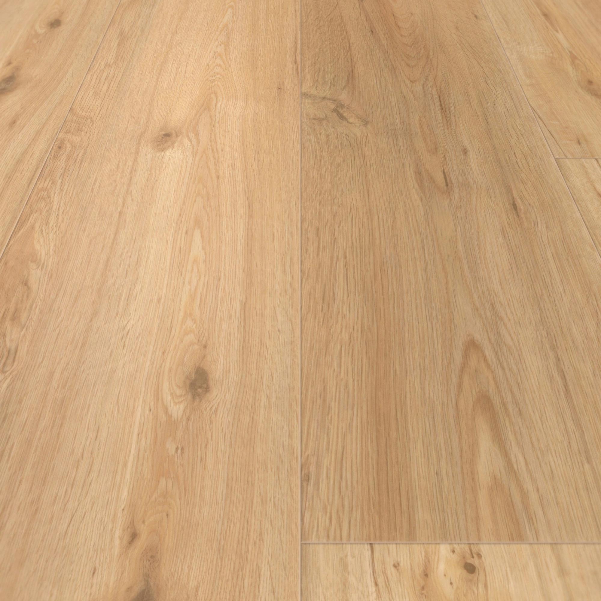 Detail Ansicht - Parador Rigid Klick-Vinyl Classic 2070 Eiche natur Detail Ansicht - Parador 1744633