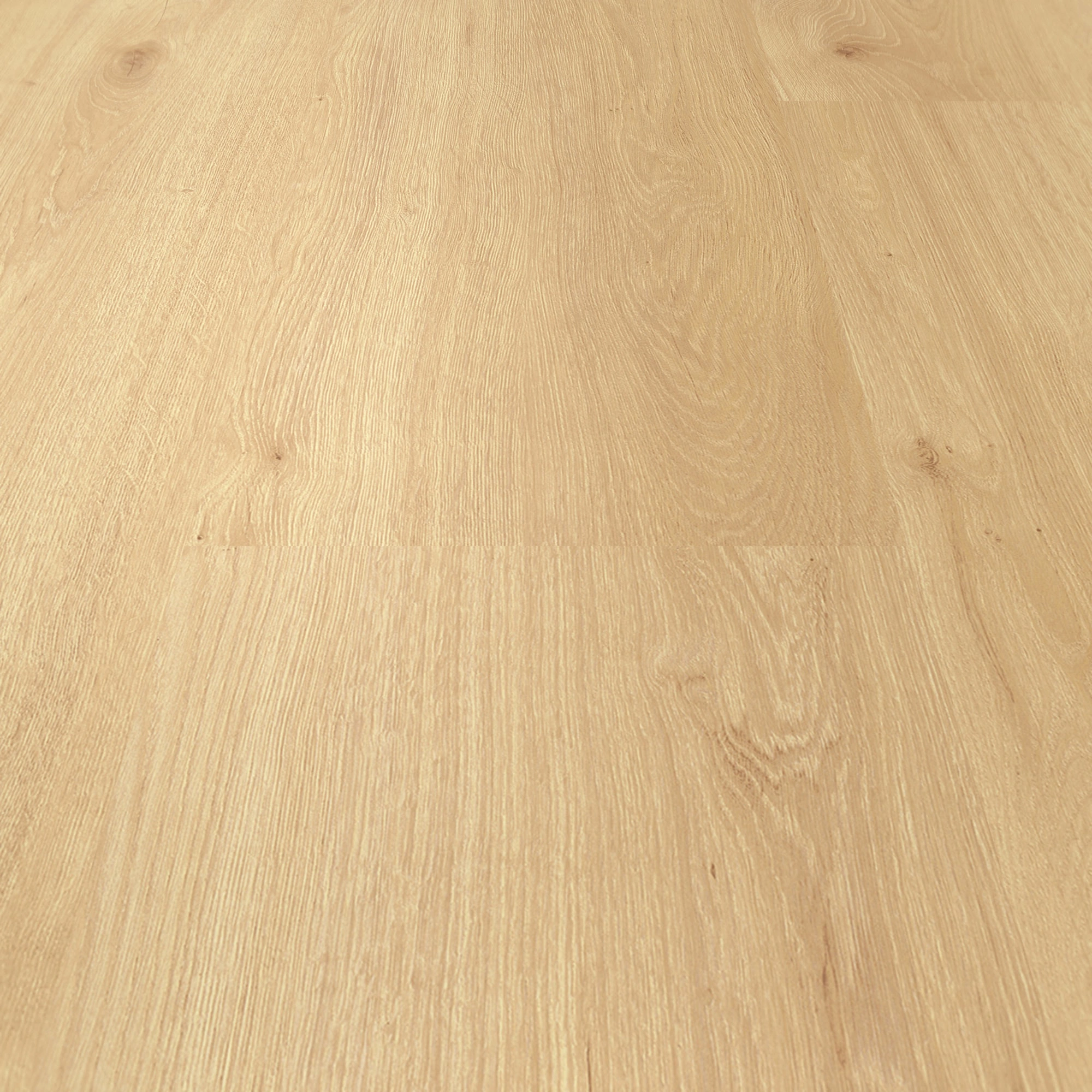 Detail Ansicht - ter Hürne Laminat Trend Edition Eiche Japandi Detail Ansicht - ter Hürne 1101021847