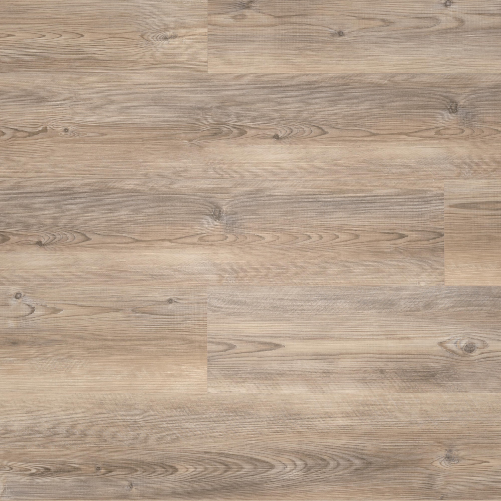Draufsicht - wineo Klebe-Vinyl wineo 400 wood L Coast Pine Taupe Draufsicht - wineo DB284WL