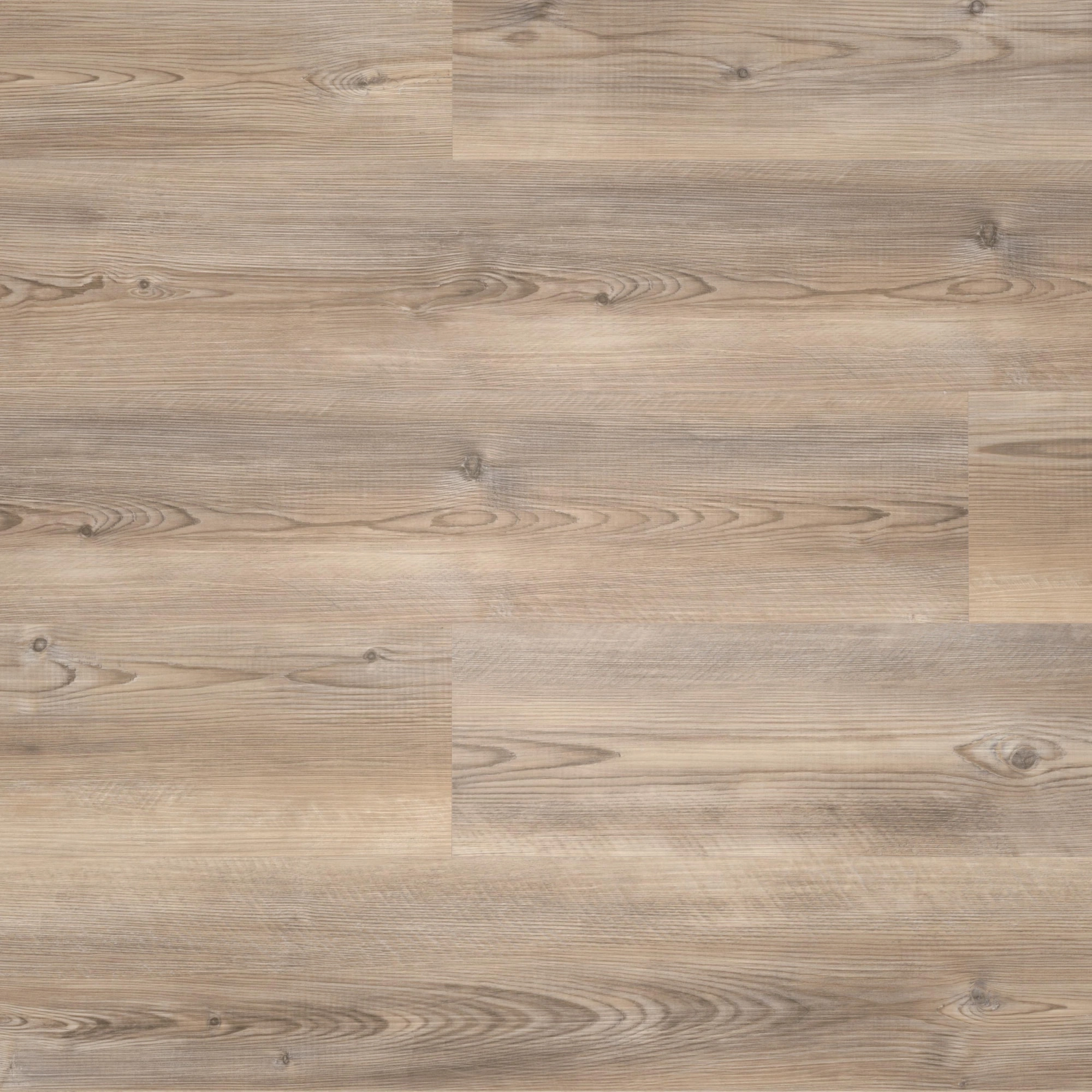 Draufsicht - wineo Klebe-Vinyl wineo 400 wood L Coast Pine Taupe Draufsicht - wineo DB284WL