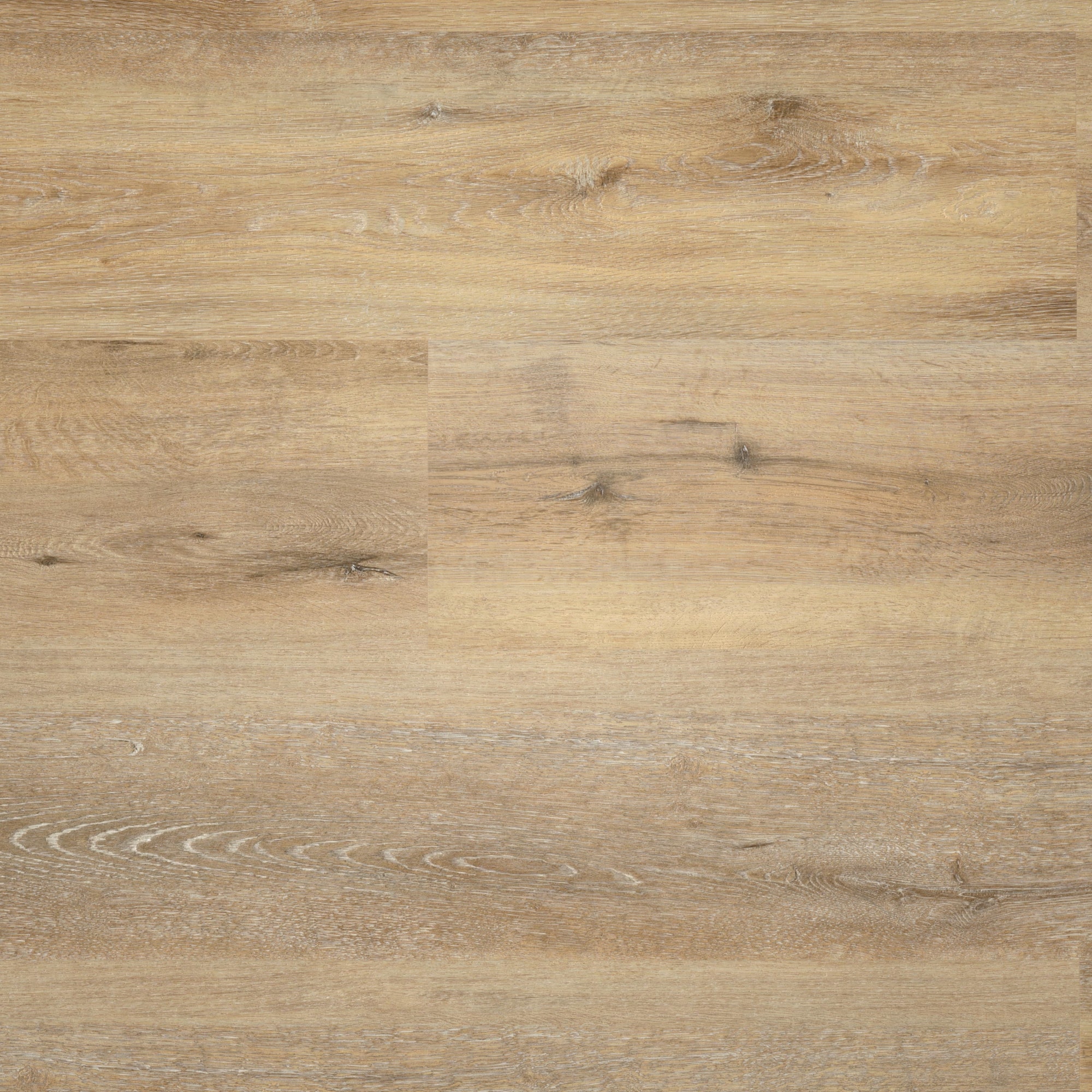 Draufsicht - wineo Klebe-Vinyl wineo 400 wood XL Joy Oak Tender Draufsicht - wineo DB126WXL