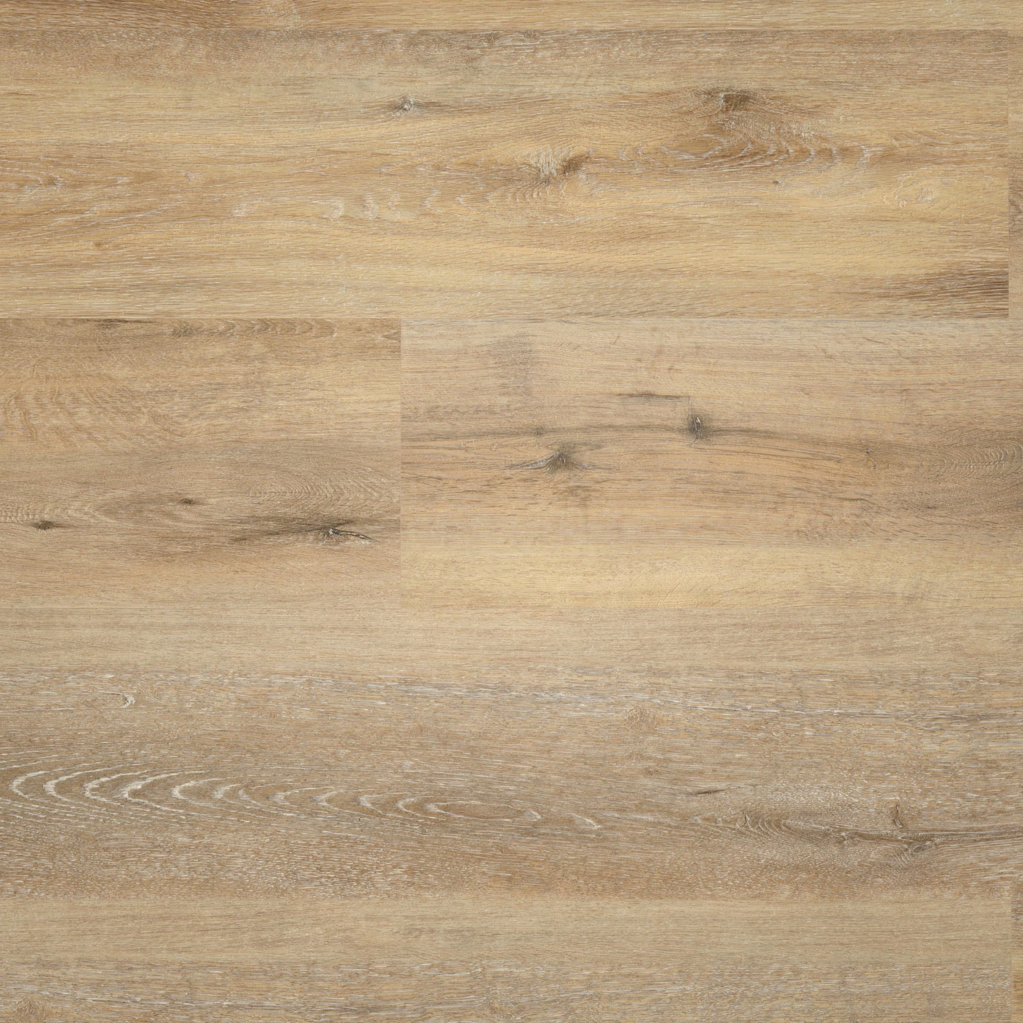 Draufsicht - wineo Klebe-Vinyl wineo 400 wood XL Joy Oak Tender Draufsicht - wineo DB126WXL