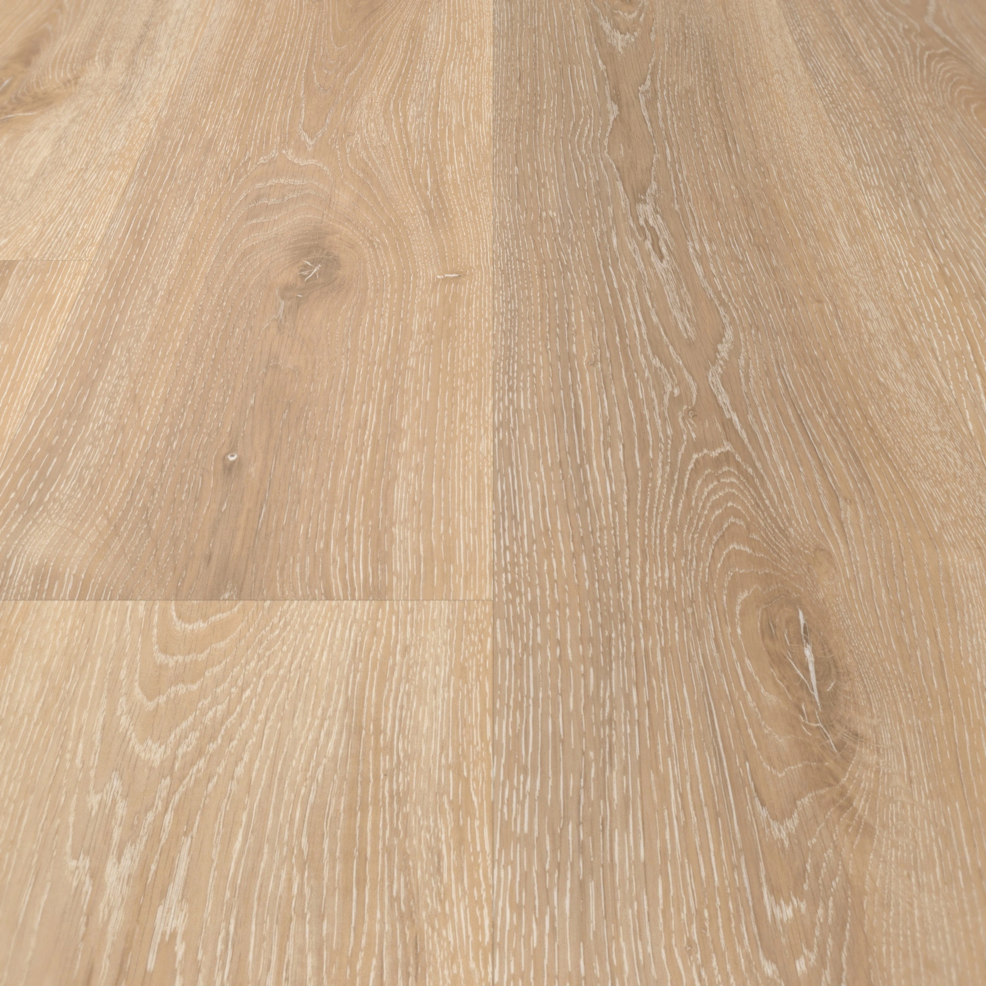 Detail Ansicht - Parador HDF Klick-Vinyl Basic 30 Eiche Royal hell gekälkt Detail Ansicht - Parador 1604831