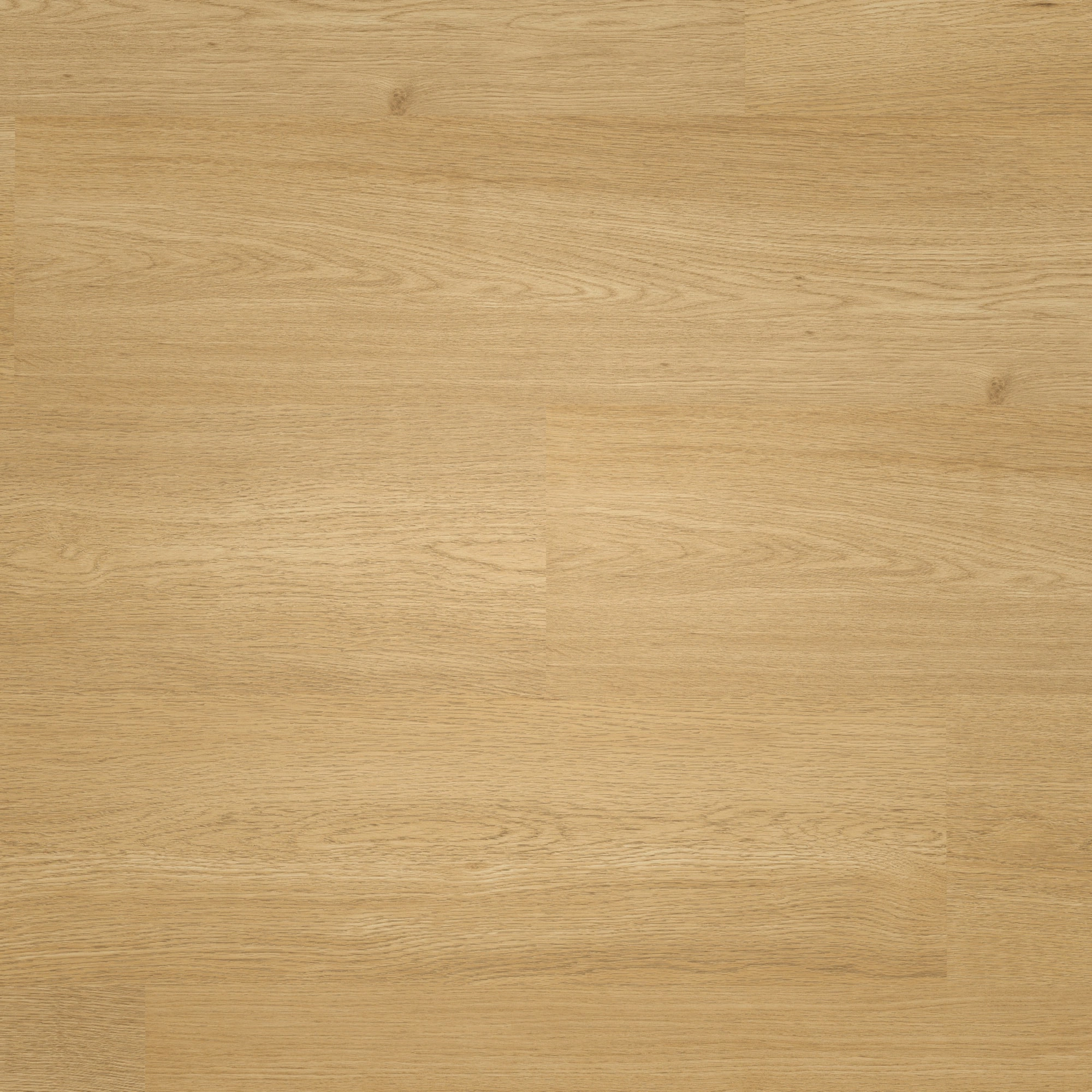 Draufsicht - ter Hürne Laminat Trend Edition Eiche Pure Draufsicht - ter Hürne 1101021843