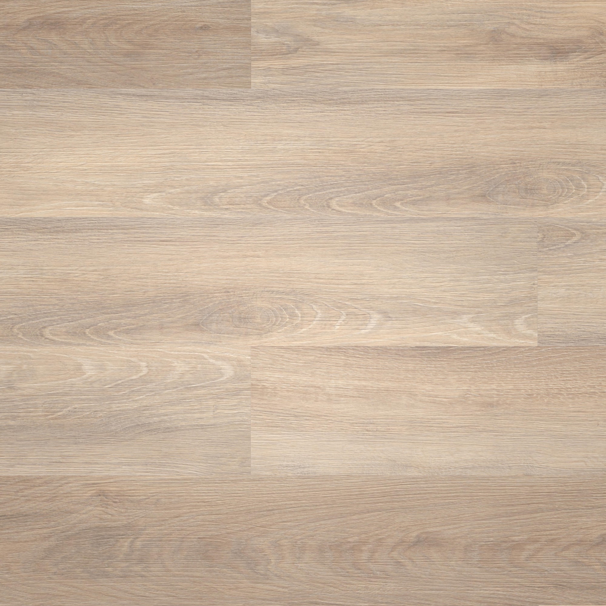 Draufsicht - wineo Klebe-Vinyl wineo 400 wood L Vibrant Oak Beige Draufsicht - wineo DB282WL