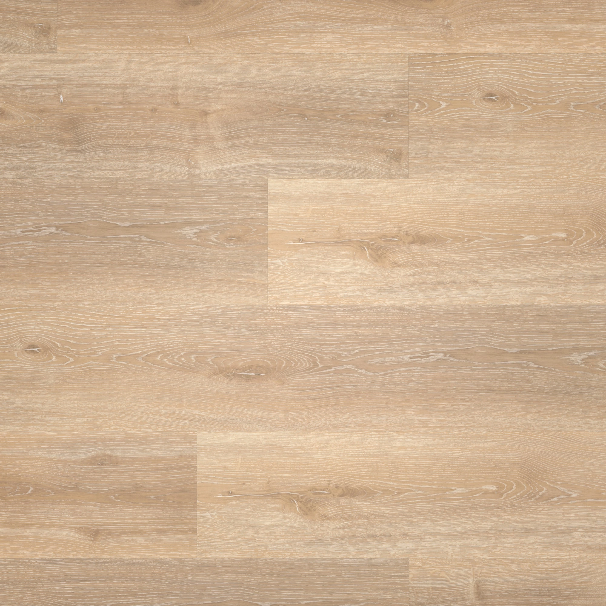 Draufsicht - Parador HDF Klick-Vinyl Basic 30 Eiche Royal hell gekälkt Draufsicht - Parador 1604831