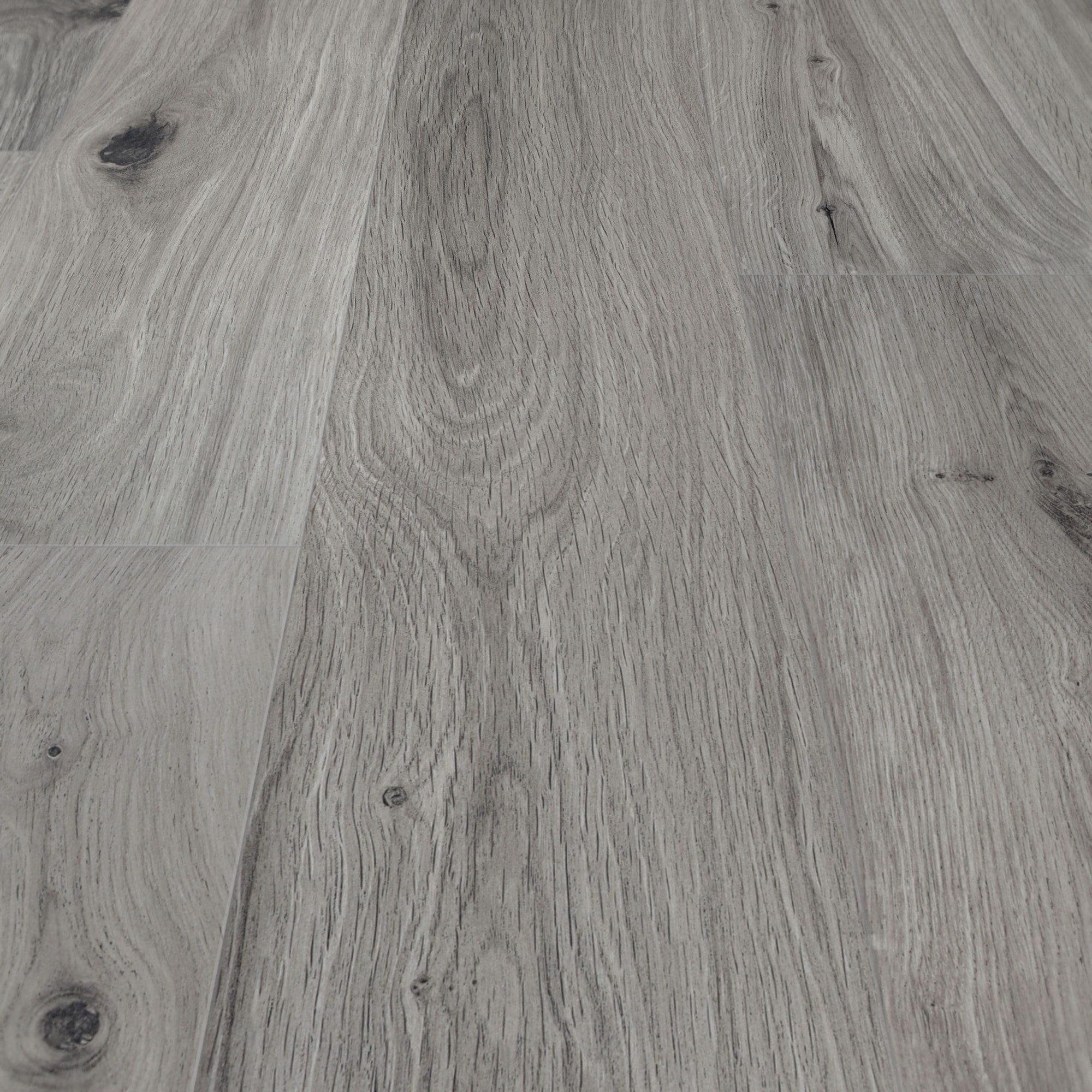 BerryAlloc Laminat Ocean 8 V4 Gyant Light Grey Real Wood Structure BerryAlloc Laminat Ocean 8 V4 Gyant Light Grey Real Wood Structure