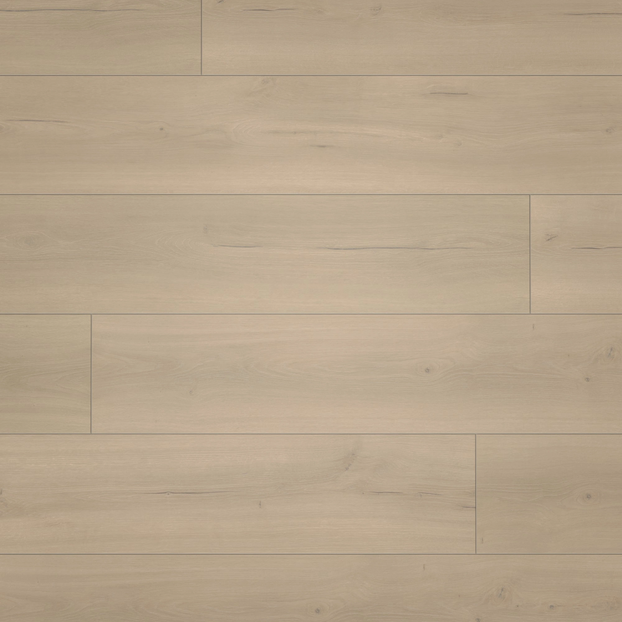 Draufsicht - Parador Laminat Trendtime 6 Eiche Loft grau Draufsicht - Parador 1730467