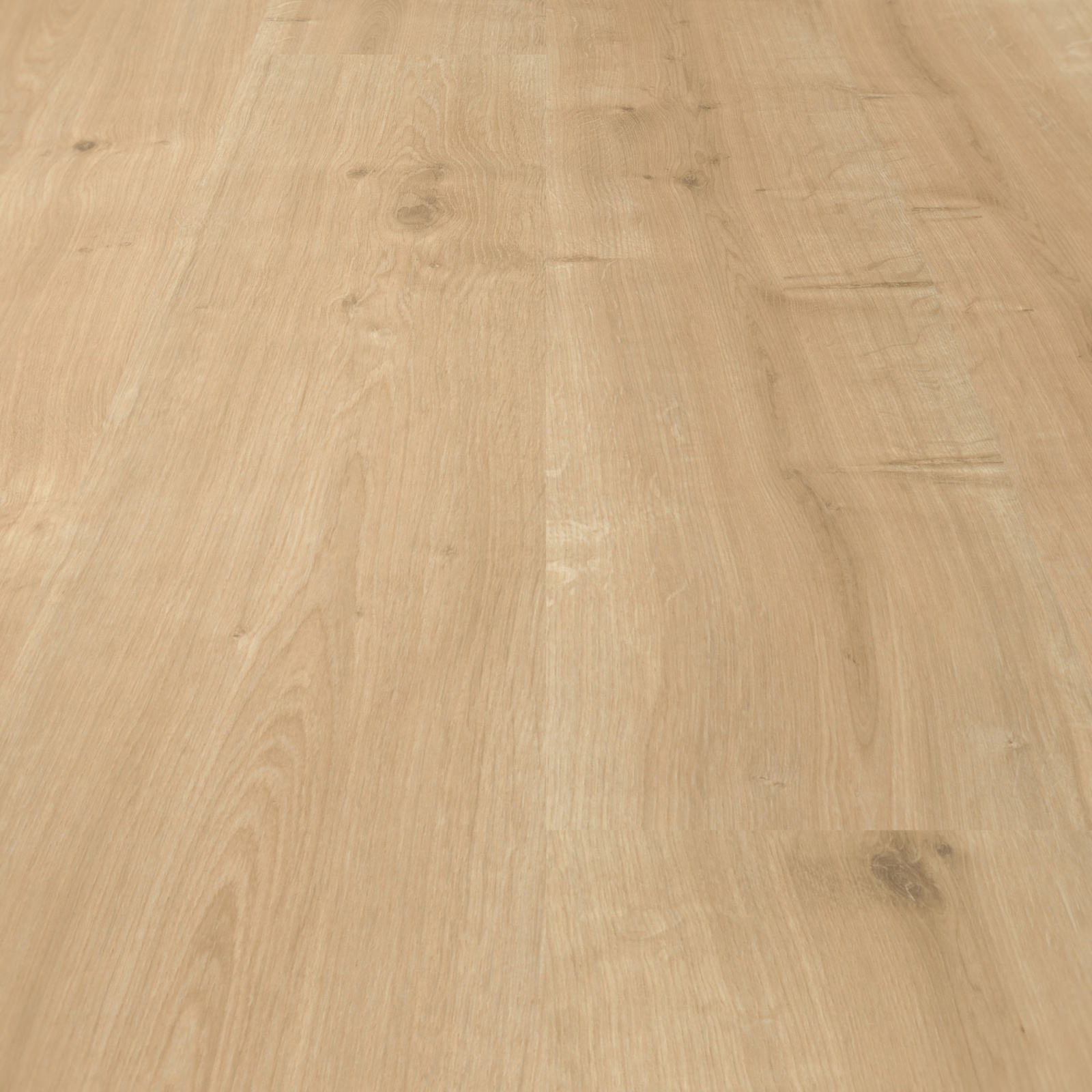 Parador Laminat Basic 400 Eiche geschliffen Seidenmatte Struktur 0V
