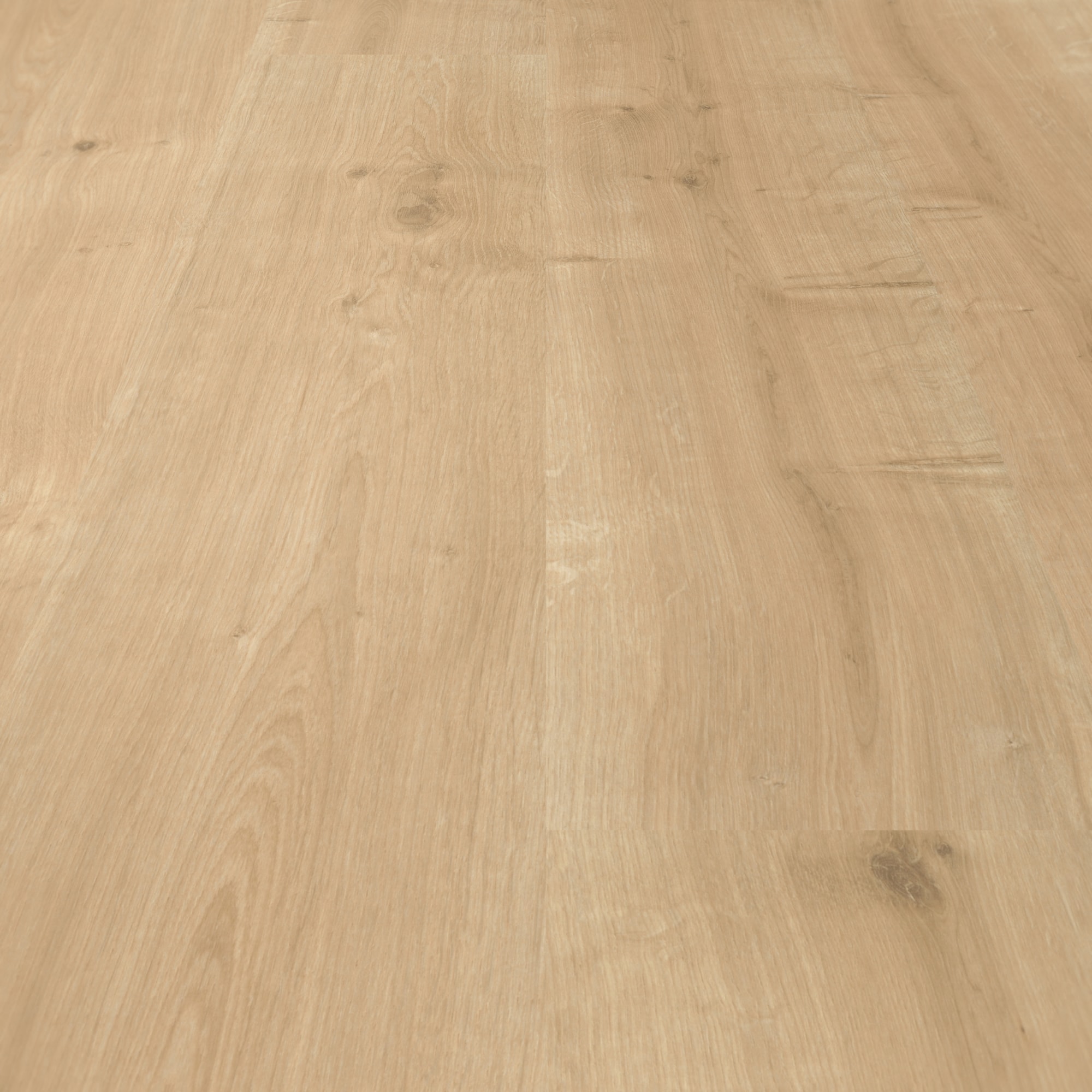 Parador Laminat Basic 400 Eiche geschliffen Seidenmatte Struktur 0V Parador Laminat Basic 400 Eiche geschliffen Seidenmatte Struktur 0V