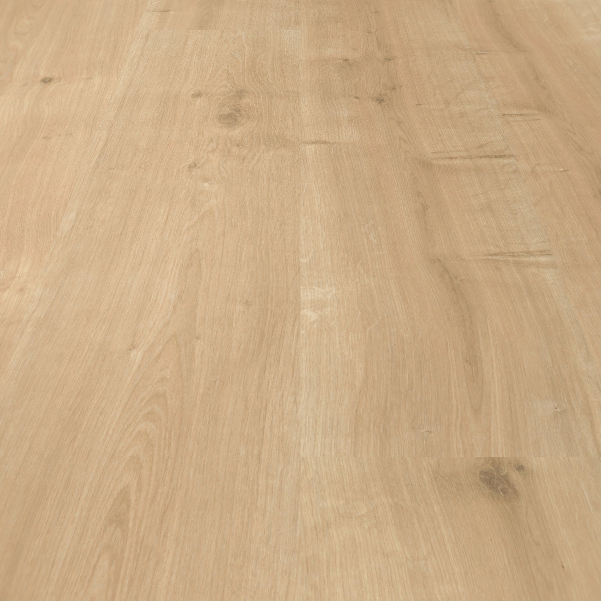 Parador Laminat Basic 400 Eiche geschliffen Seidenmatte Struktur 0V Parador Laminat Basic 400 Eiche geschliffen Seidenmatte Struktur 0V