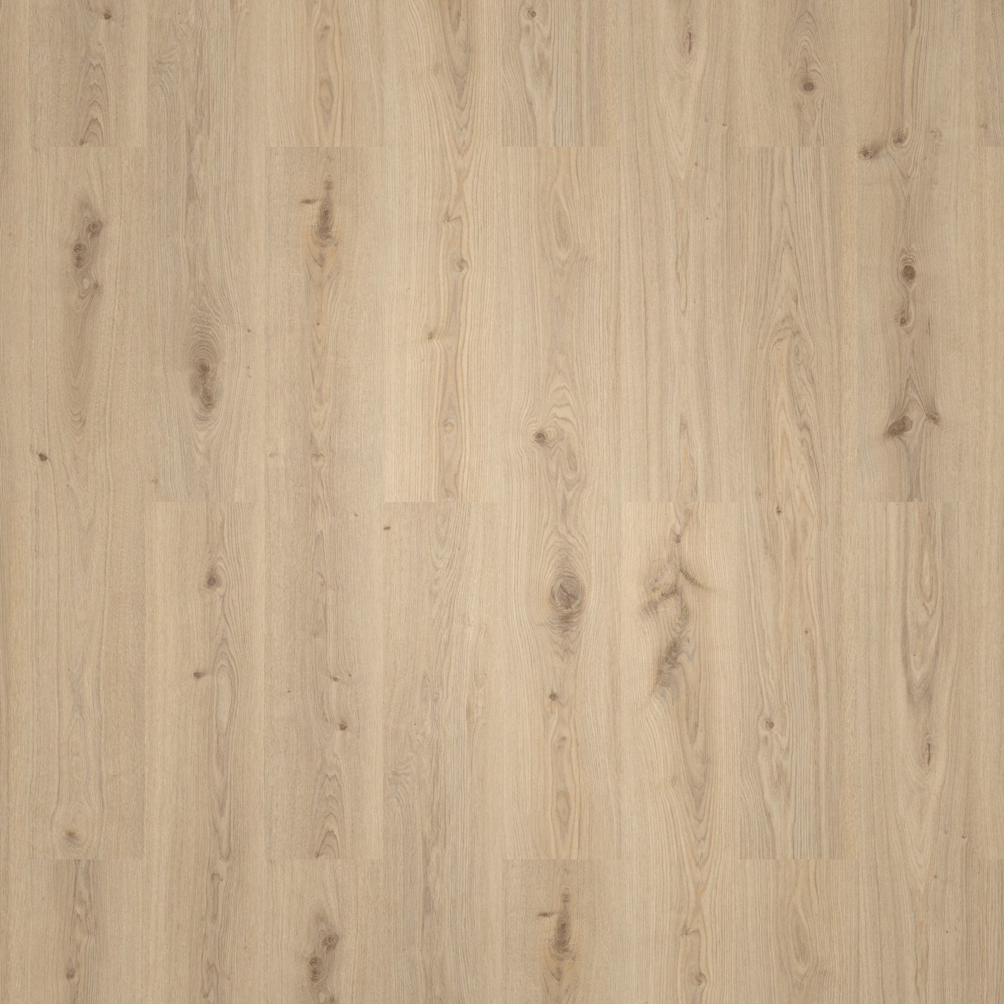 Draufsicht - Tarkett Rigid Klick-Vinyl Essence Rigid 30 Primary Oak Natural Draufsicht - Tarkett 260032004