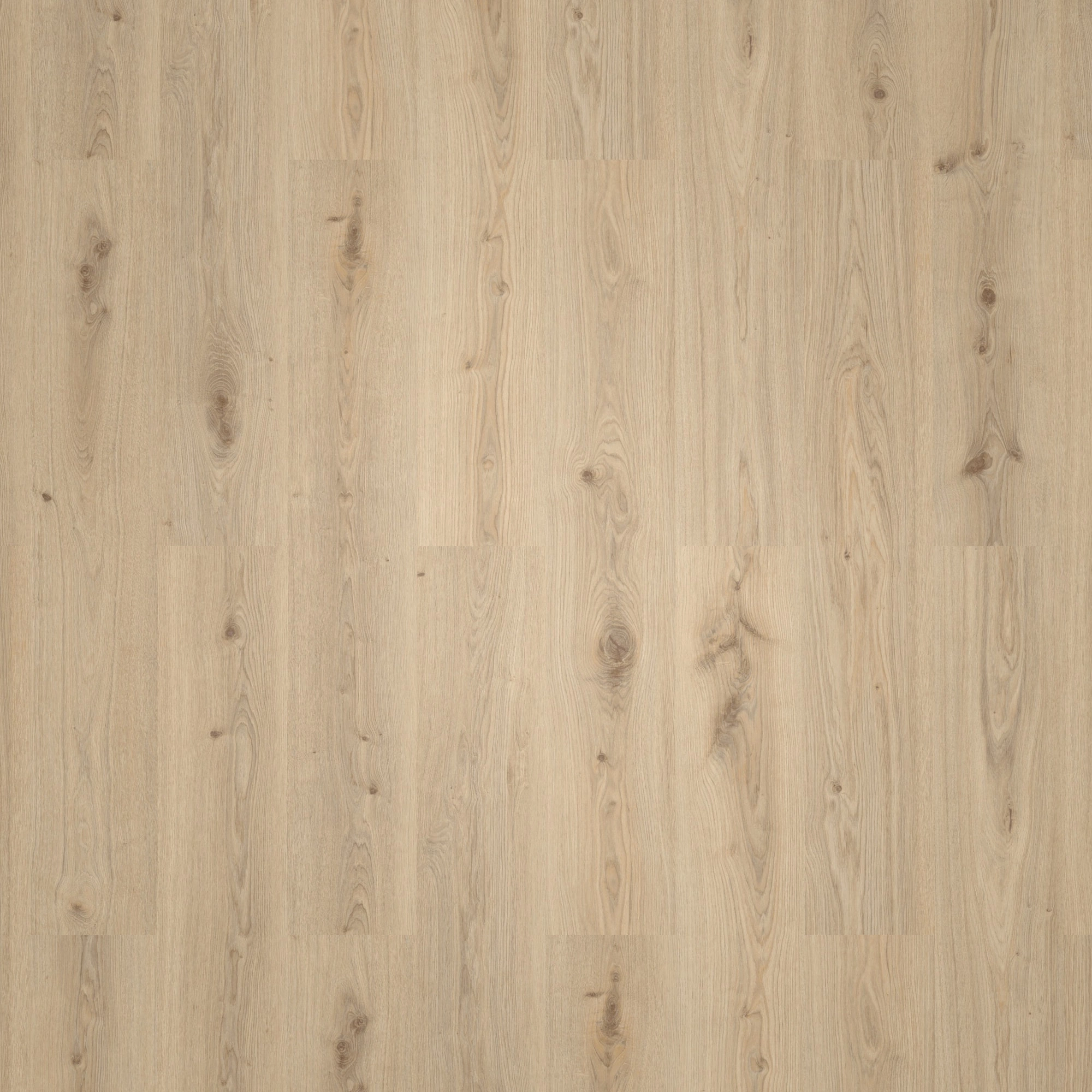 Draufsicht - Tarkett Rigid Klick-Vinyl Essence Rigid 30 Primary Oak Natural Draufsicht - Tarkett 260032004