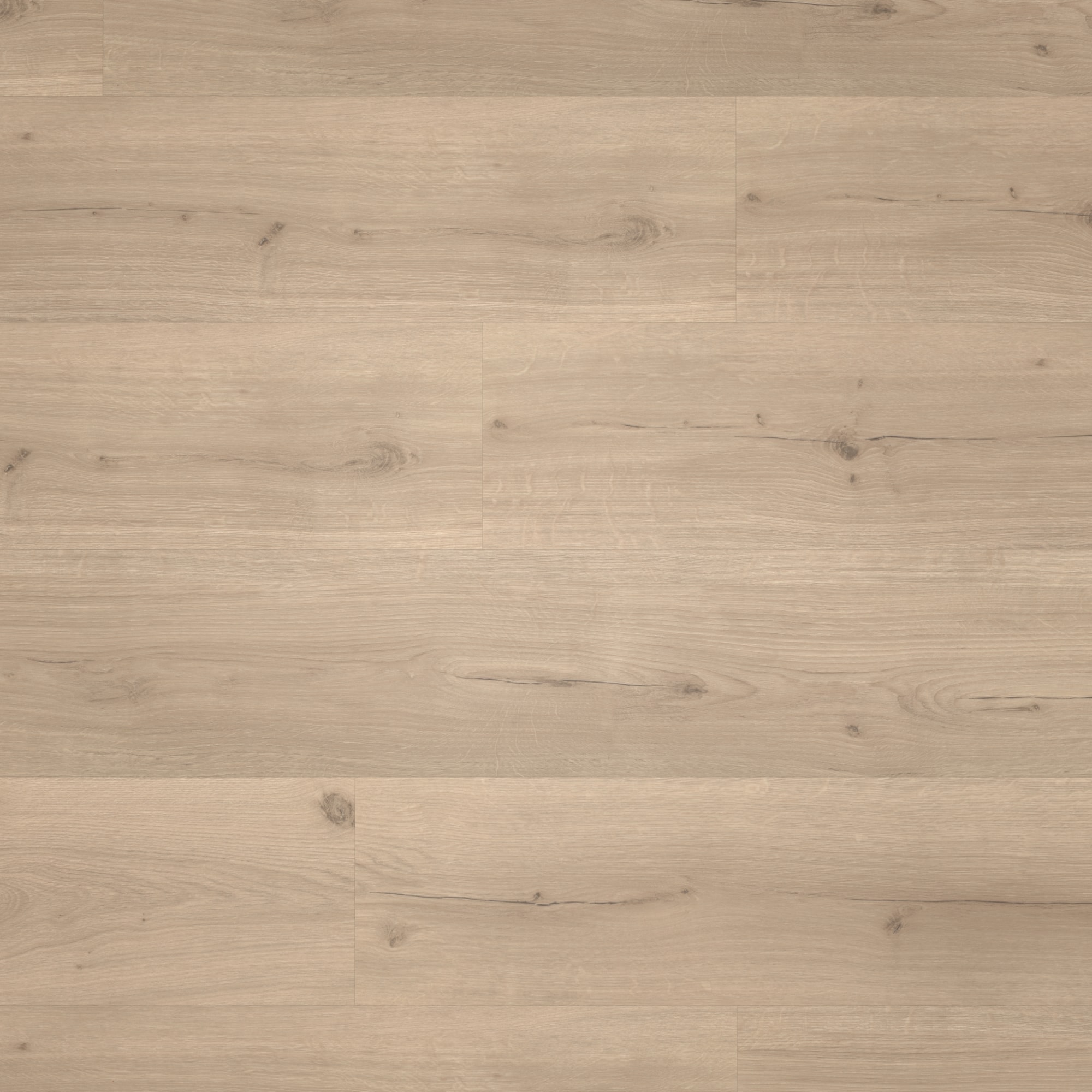Draufsicht - Parador HDF Klick-Vinyl Basic 30 Eiche Infinity grau Draufsicht - Parador 1730635