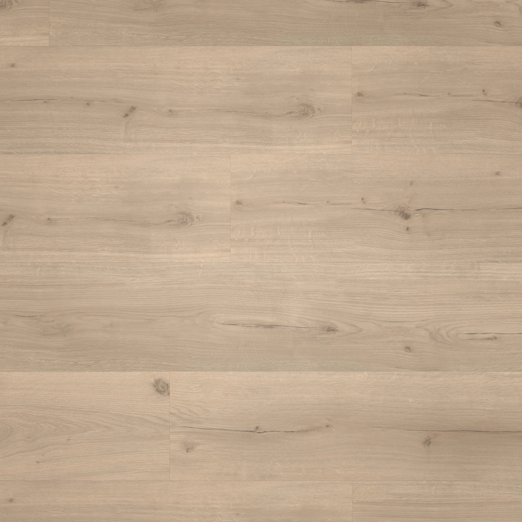 Draufsicht - Parador HDF Klick-Vinyl Basic 30 Eiche Infinity grau Draufsicht - Parador 1730635