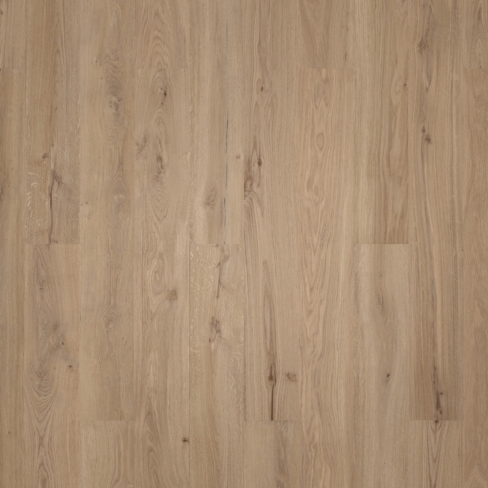 Wicanders HDF Klick-Designboden wood Natural XL Dakota Oak Synchronprägung